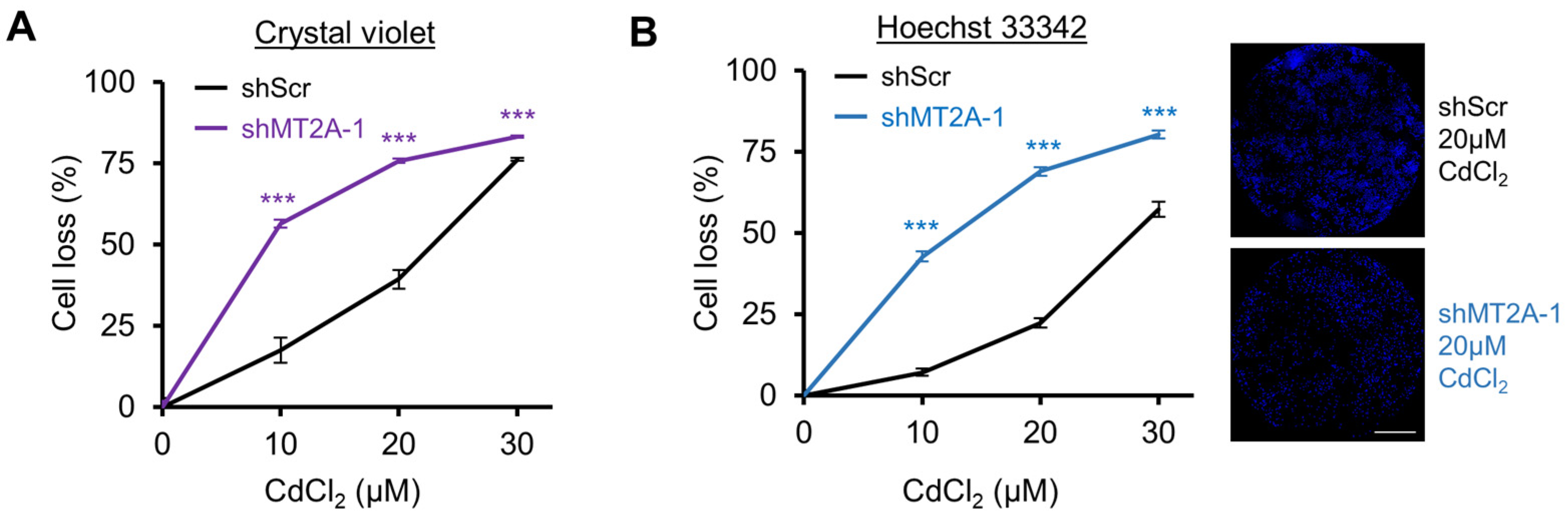 Genes 16 00042 g004