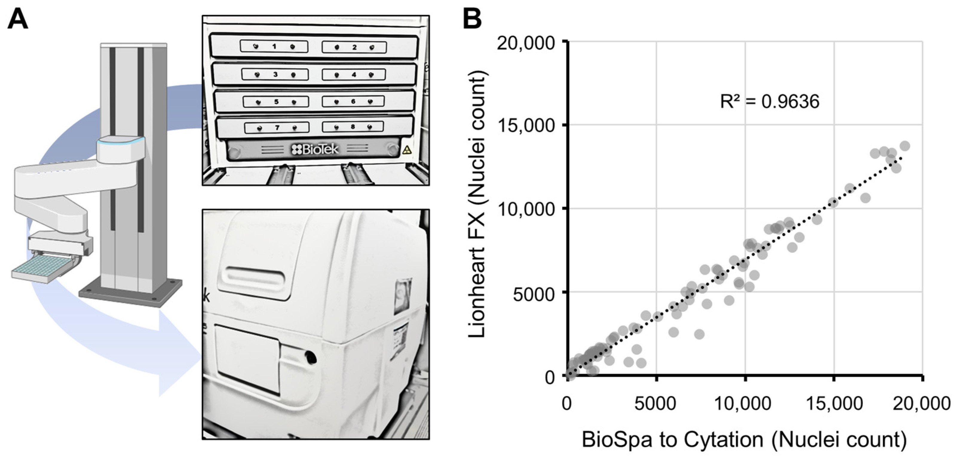 Genes 16 00042 g005