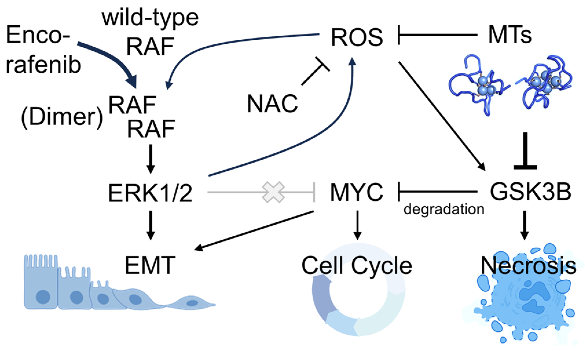 Genes 16 00042 g009