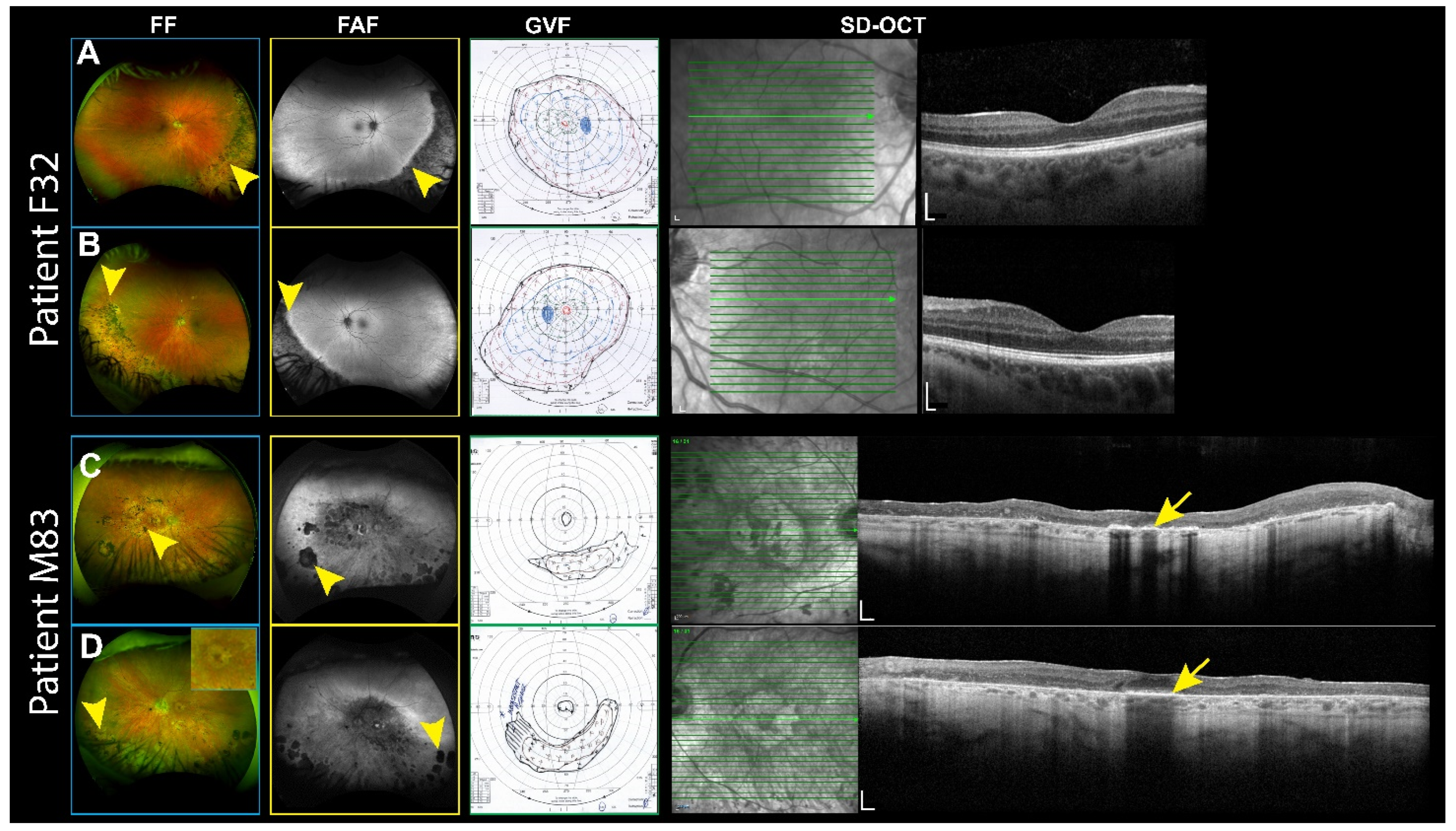 Genes 16 00043 g002 Genes 16 00043 g002