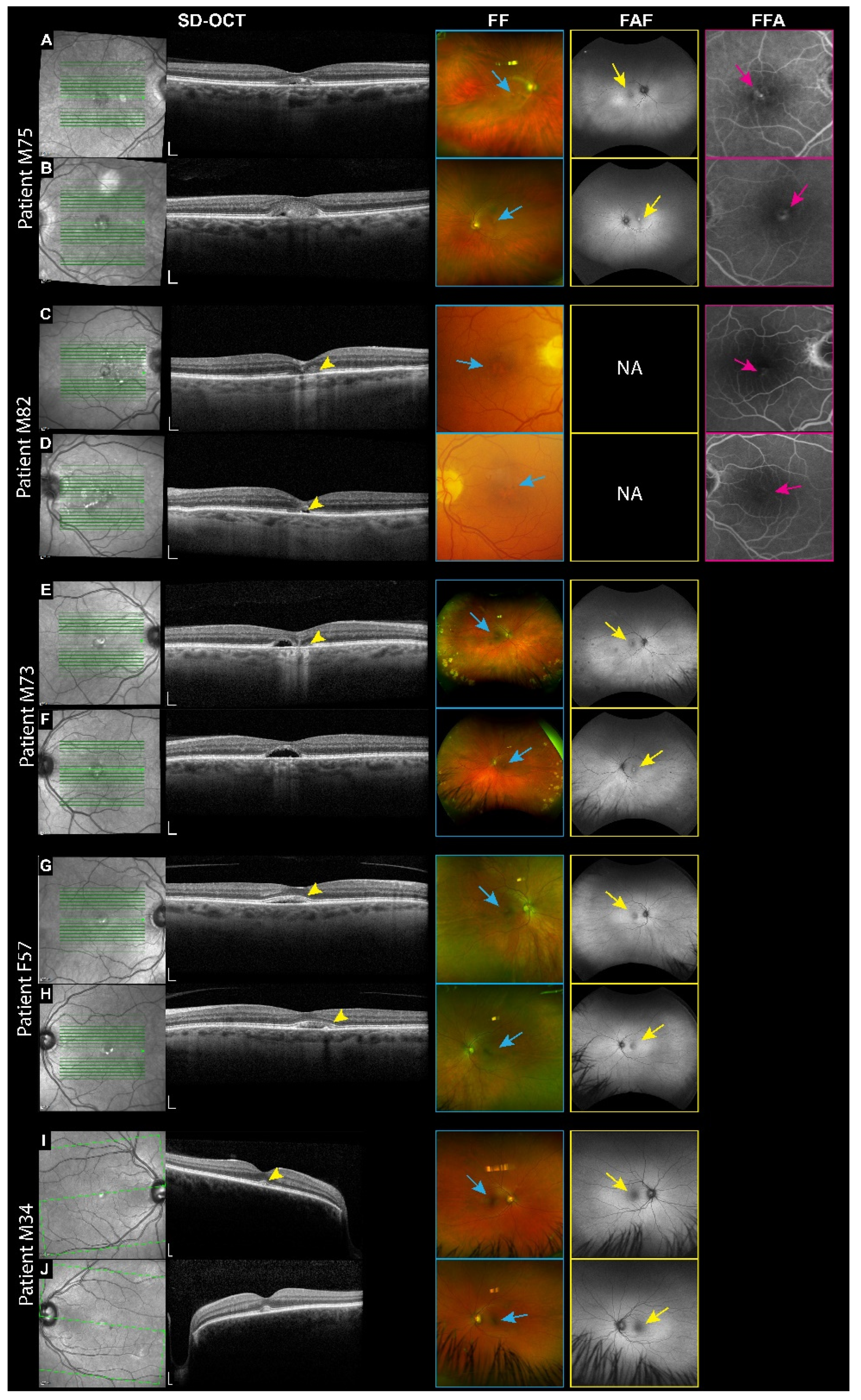 Genes 16 00043 g003 Genes 16 00043 g003