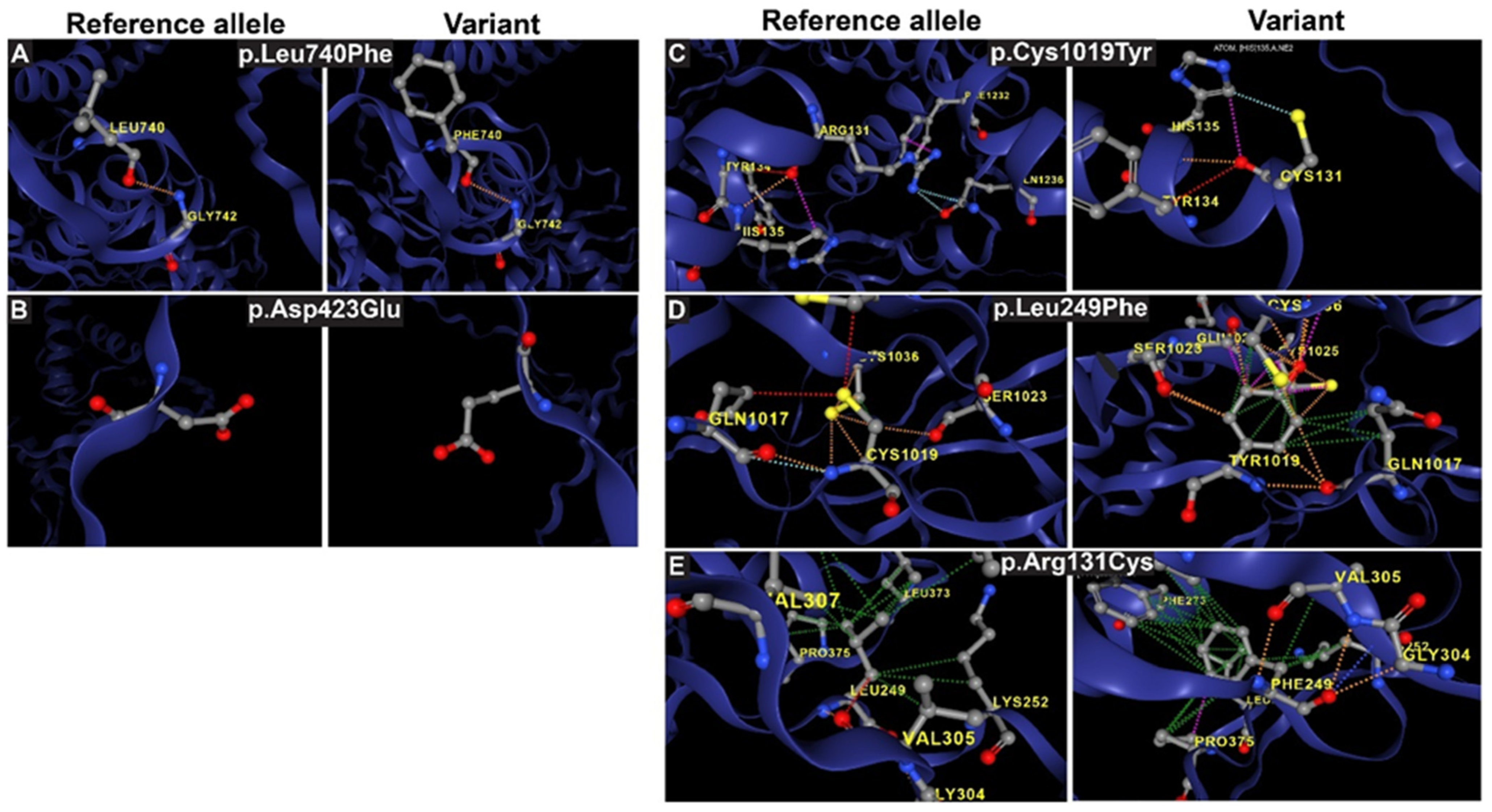 Genes 16 00043 g004 Genes 16 00043 g004
