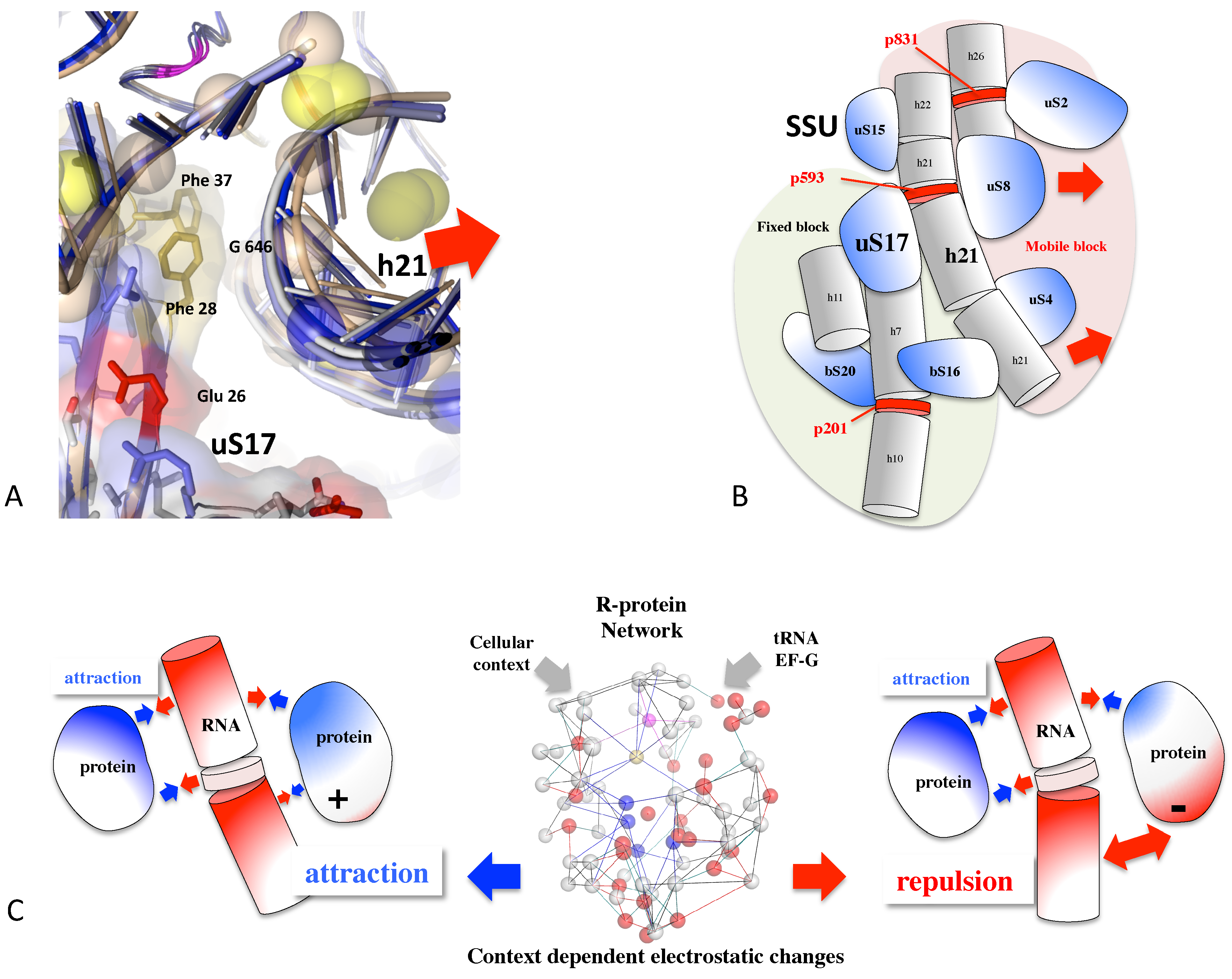 Genes 16 00045 g004