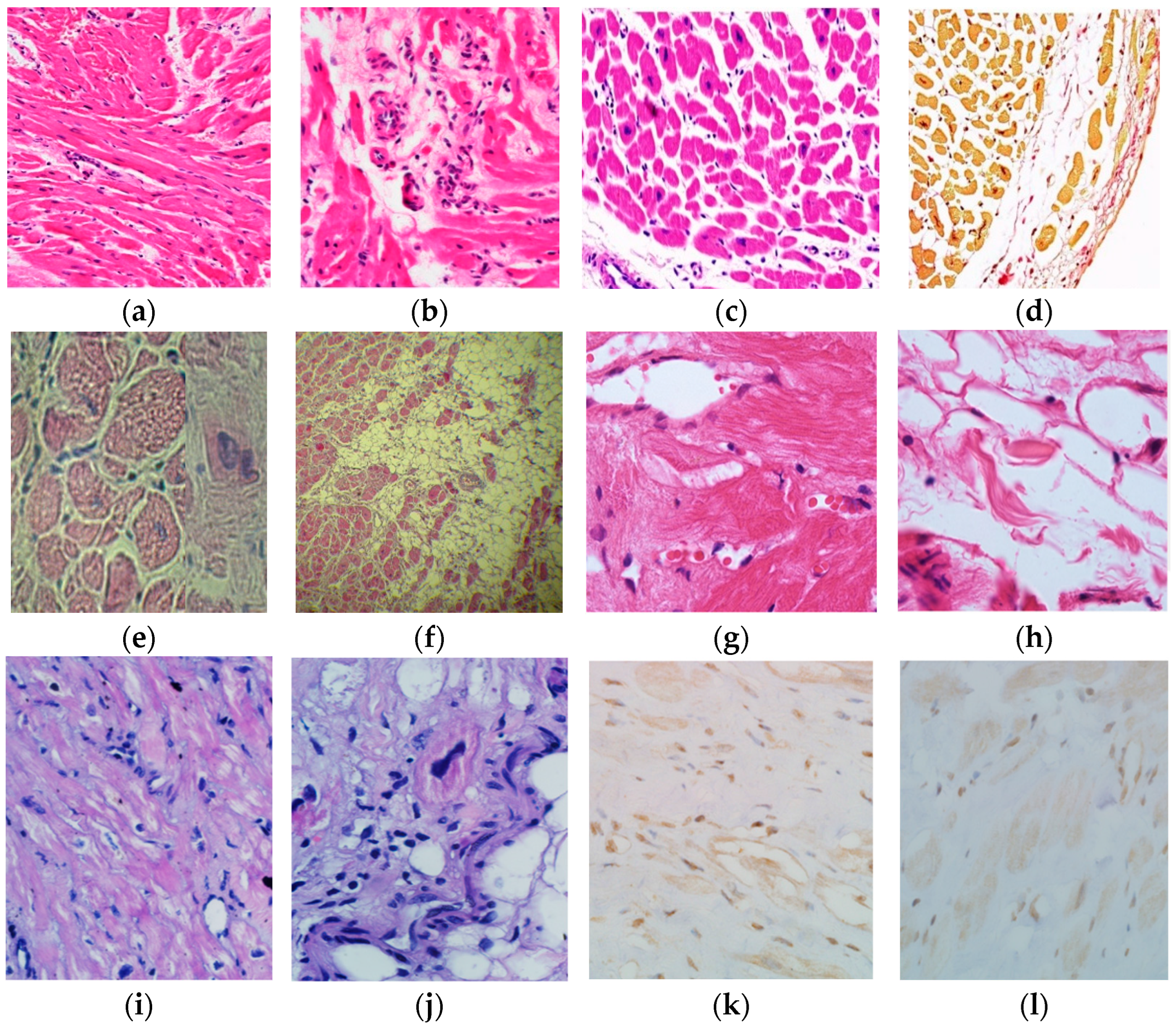 Genes 16 00051 g002 Genes 16 00051 g002
