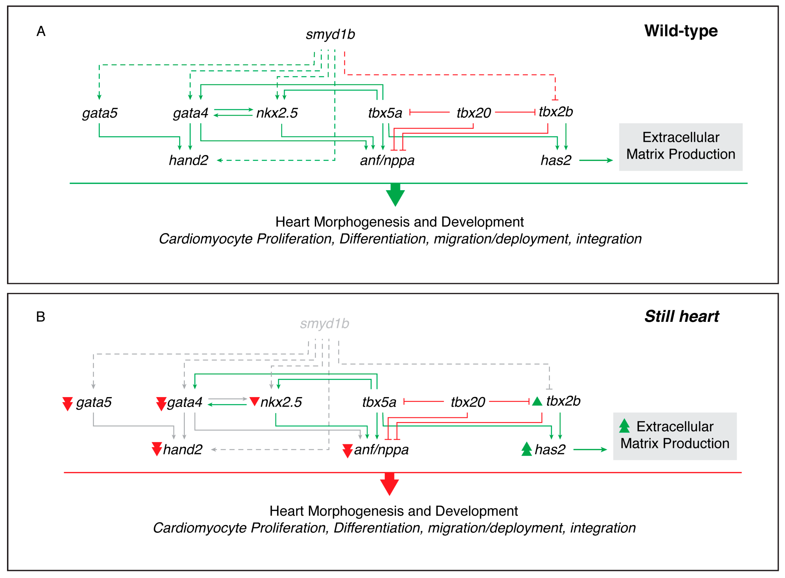 Genes 16 00052 g005