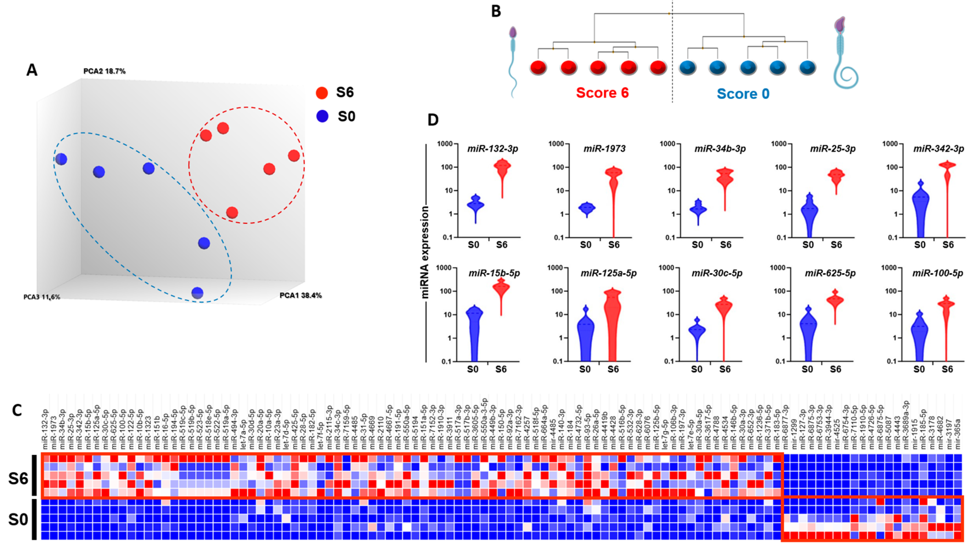 Genes 16 00053 g001