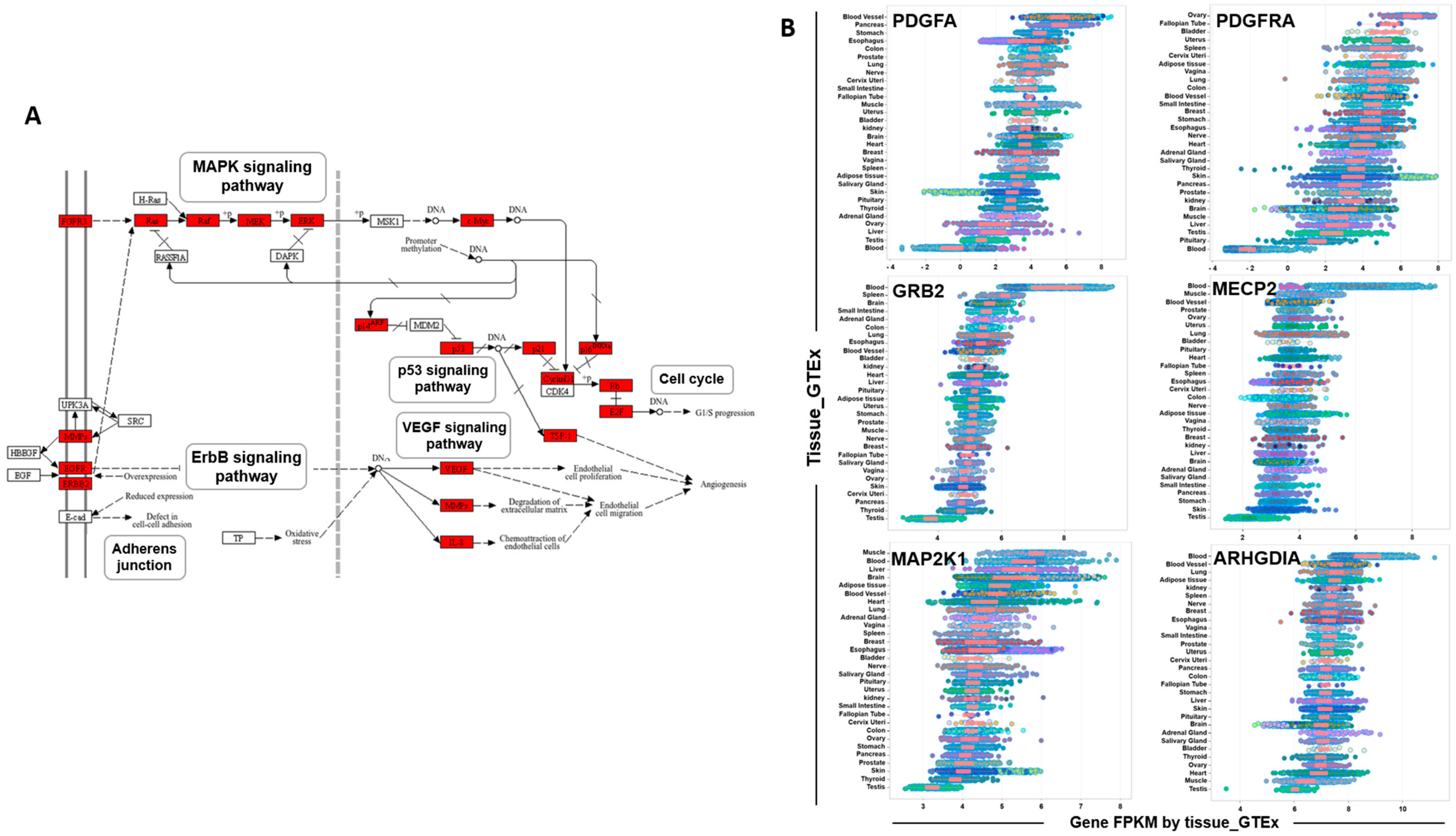 Genes 16 00053 g006