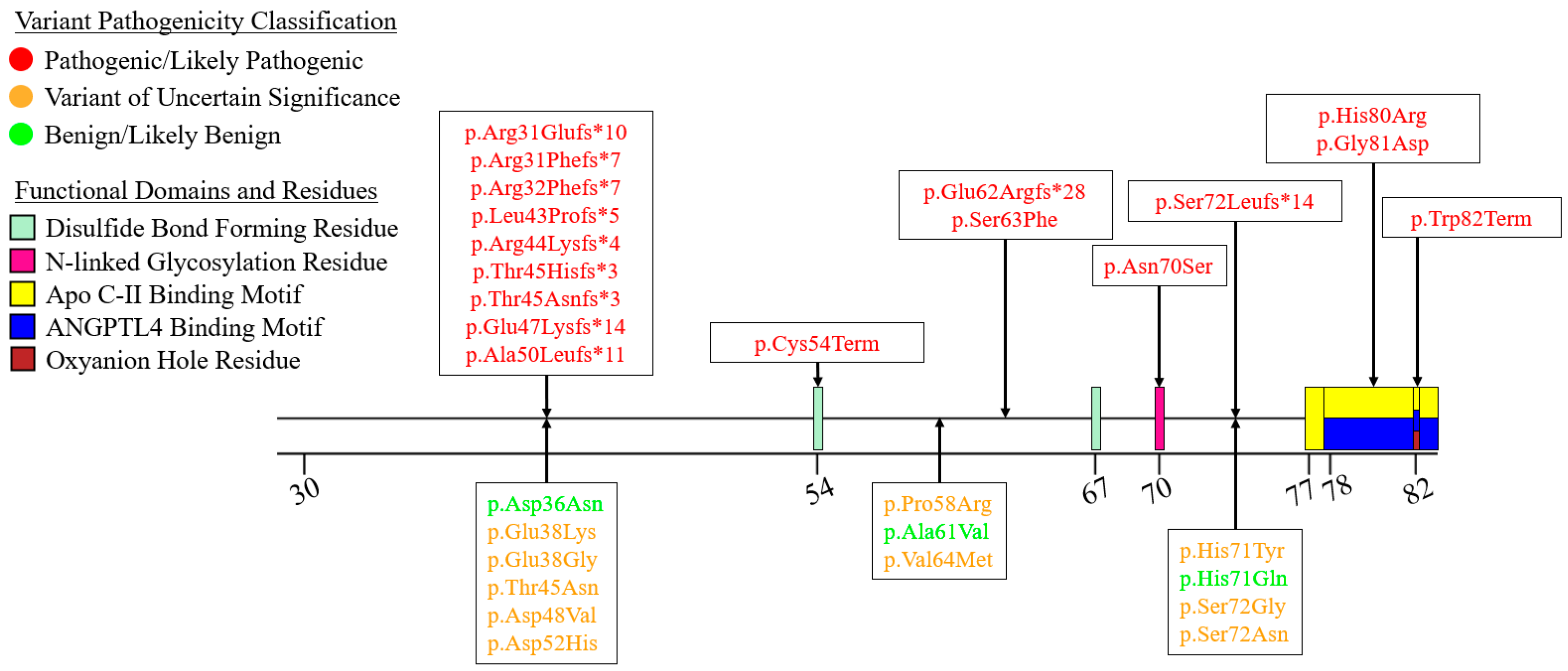 Genes 16 00055 g005 Genes 16 00055 g005