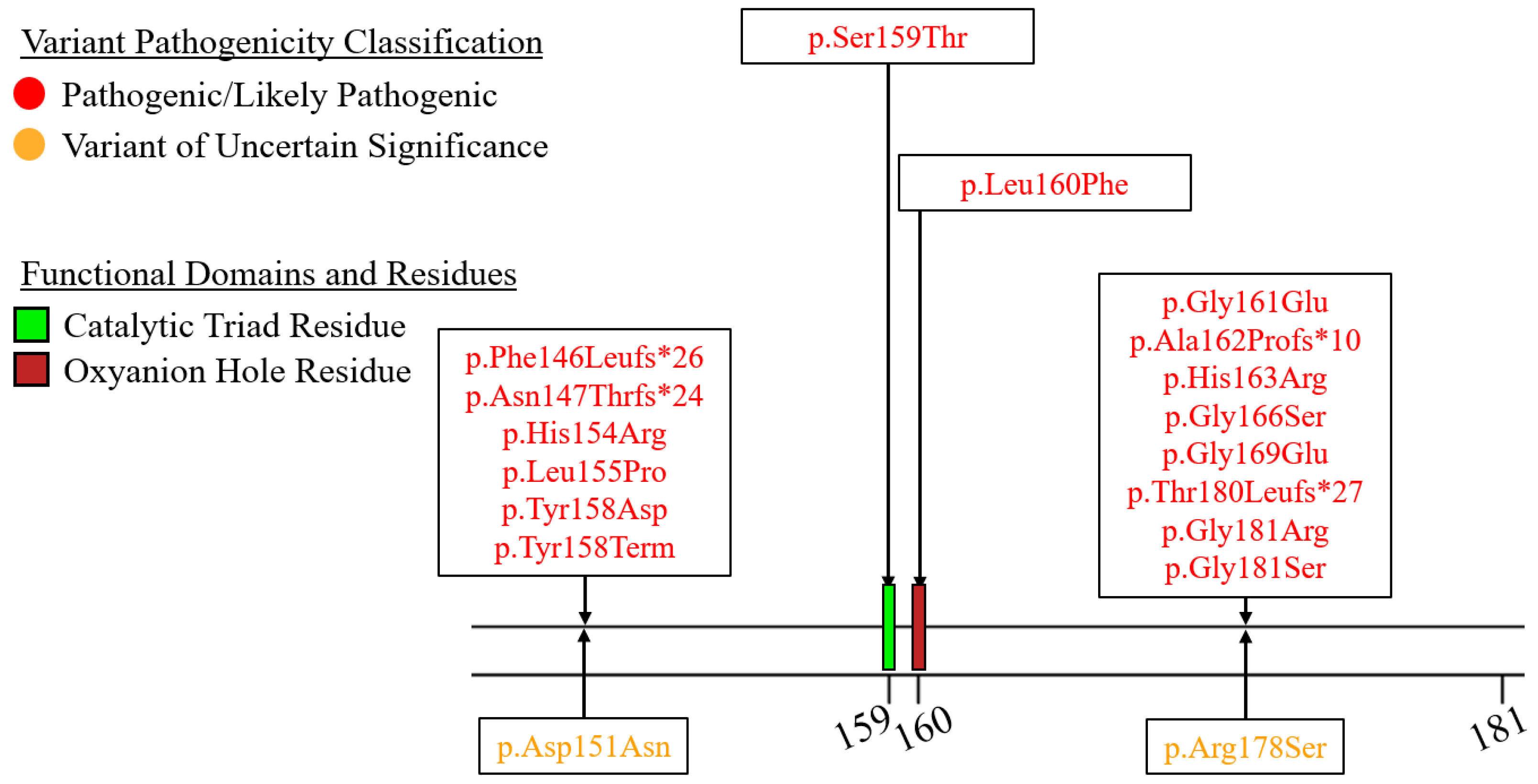 Genes 16 00055 g007 Genes 16 00055 g007