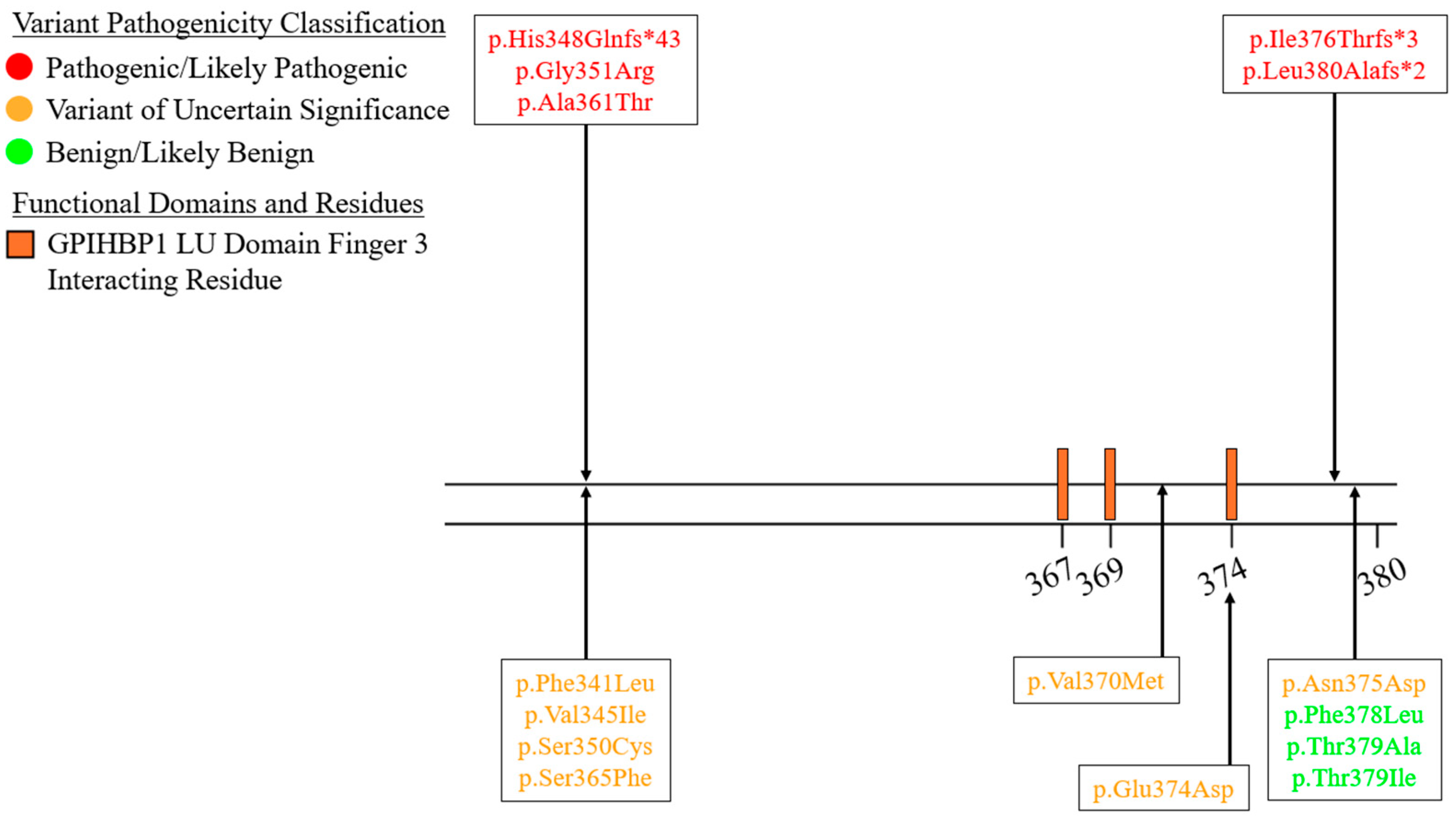 Genes 16 00055 g010 Genes 16 00055 g010