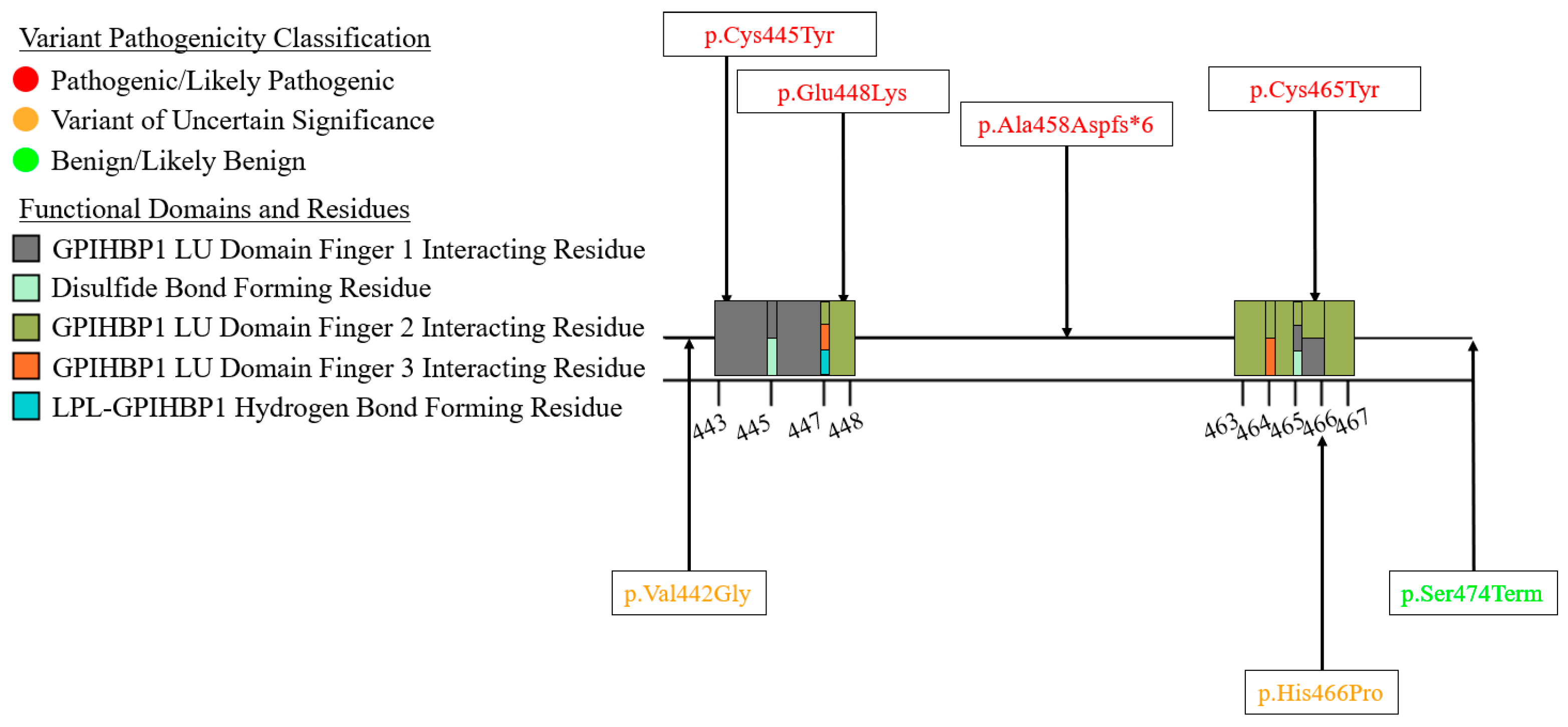 Genes 16 00055 g012 Genes 16 00055 g012