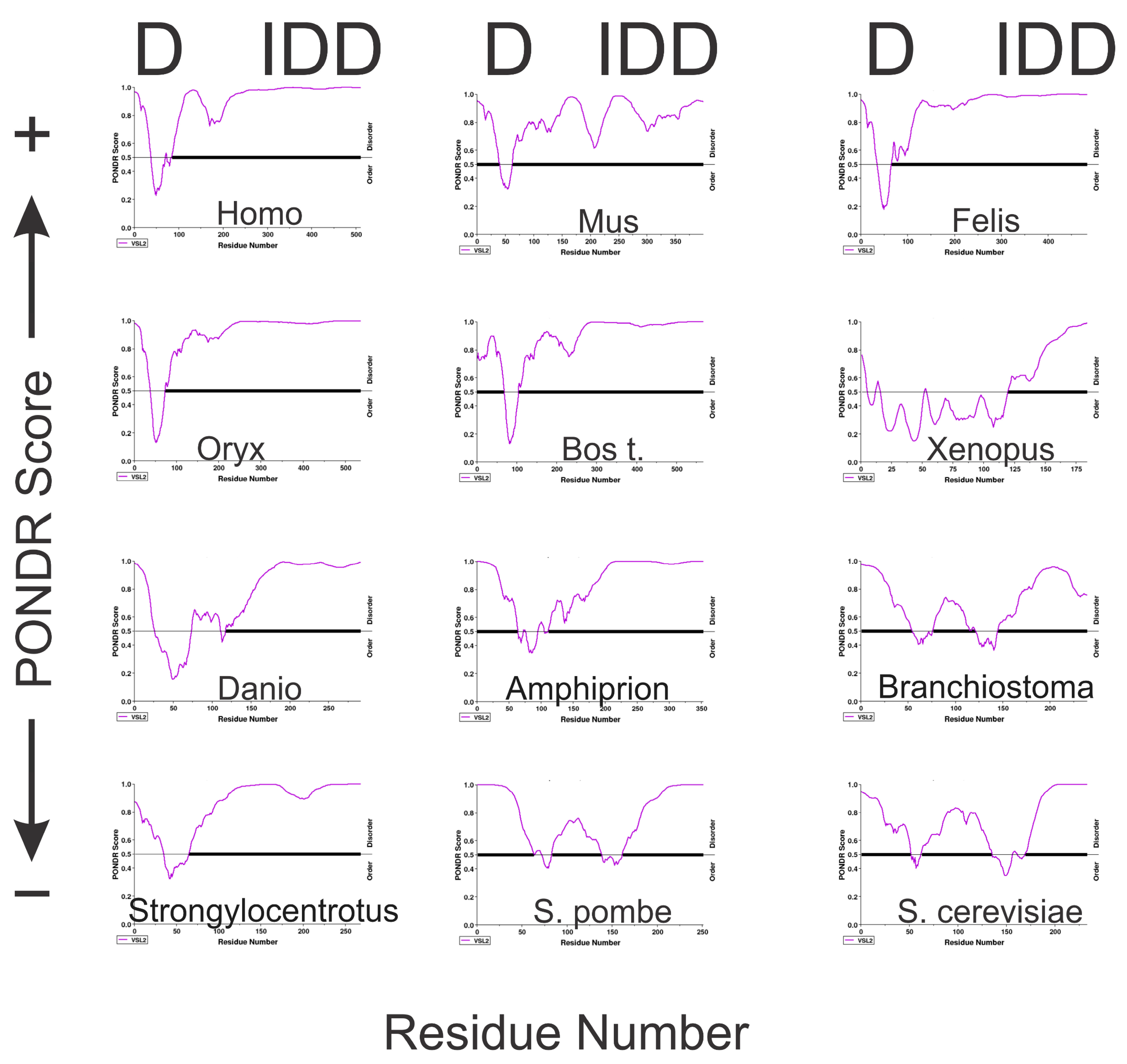 Genes 16 00061 g004 Genes 16 00061 g004