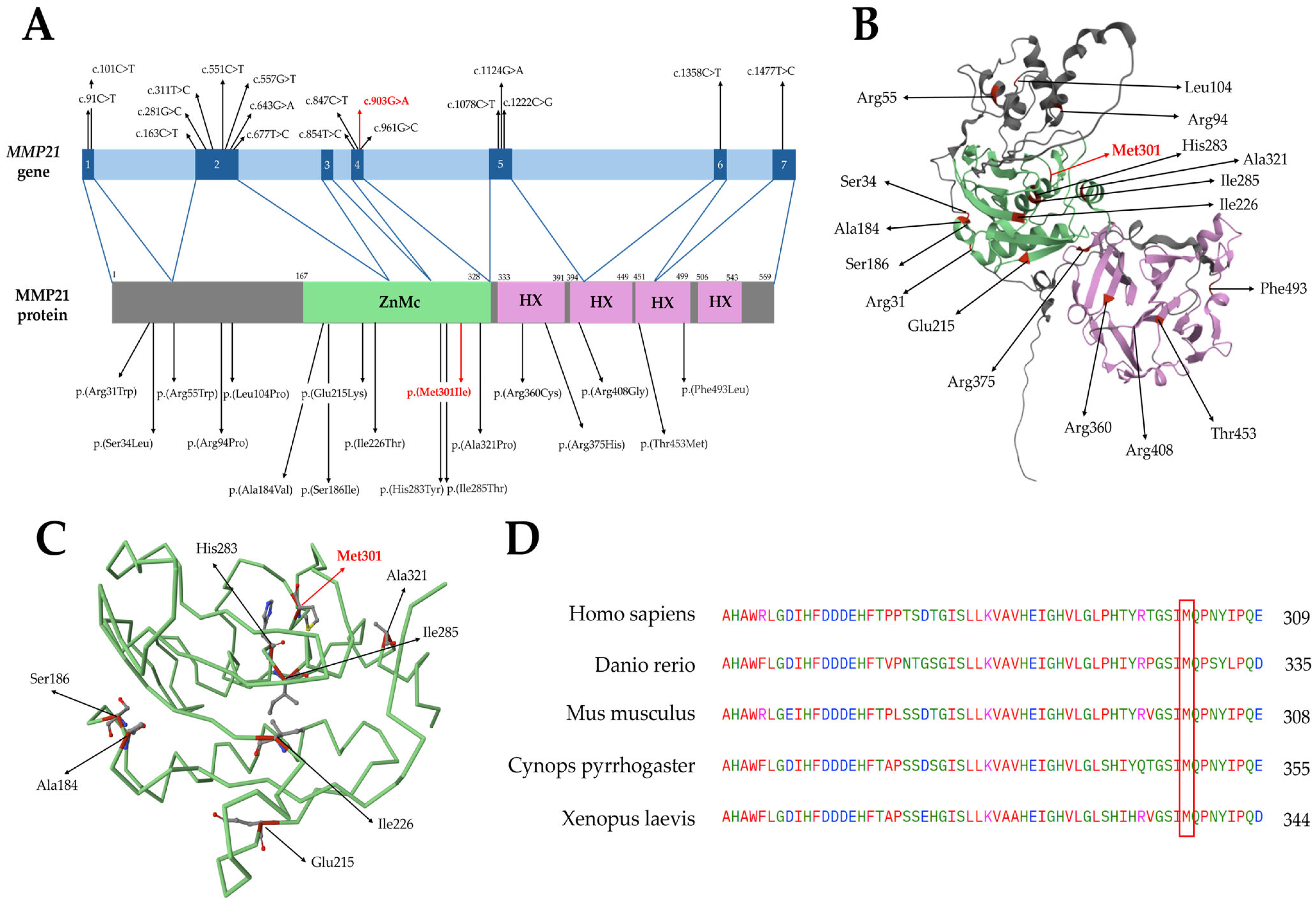 Genes 16 00062 g002