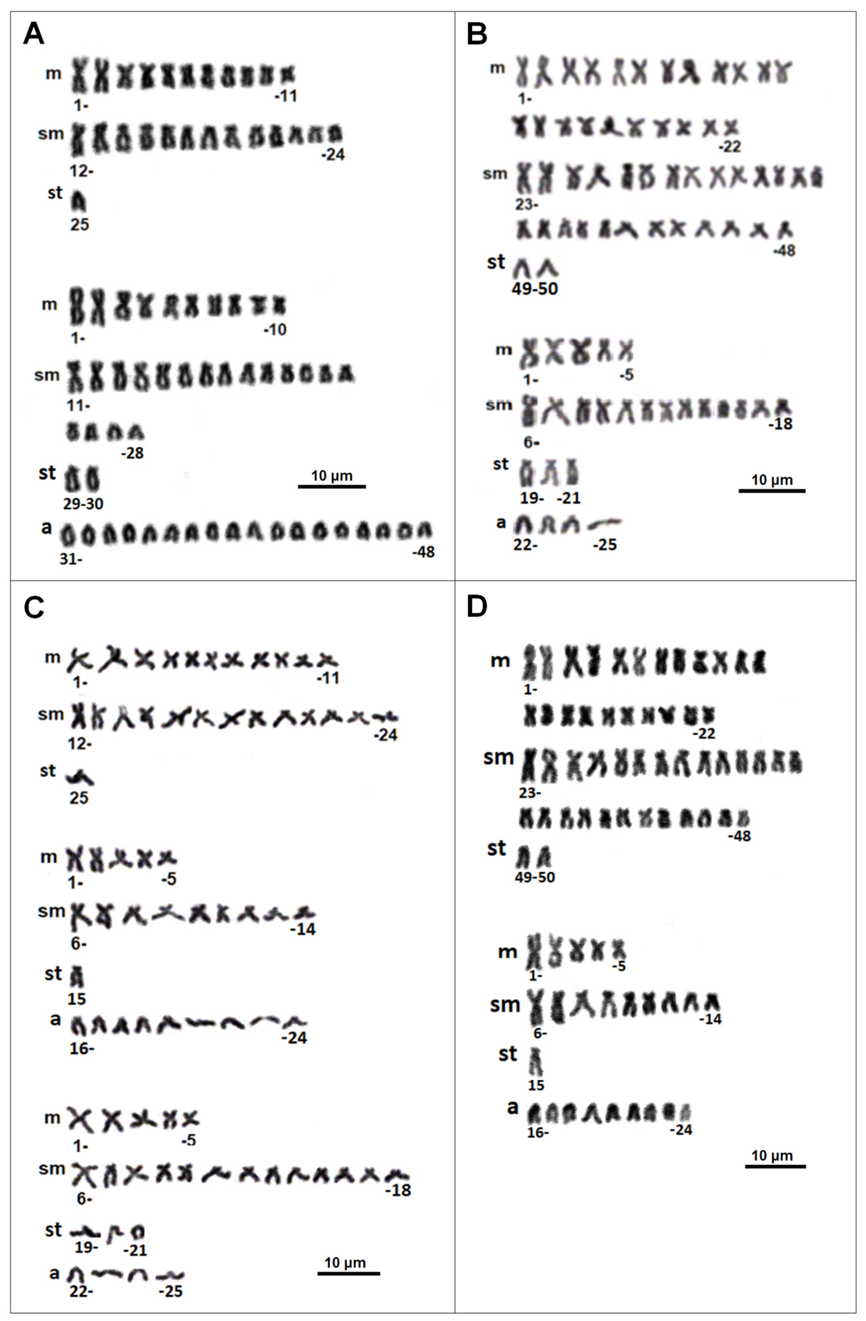 Genes 16 00068 g001 Genes 16 00068 g001