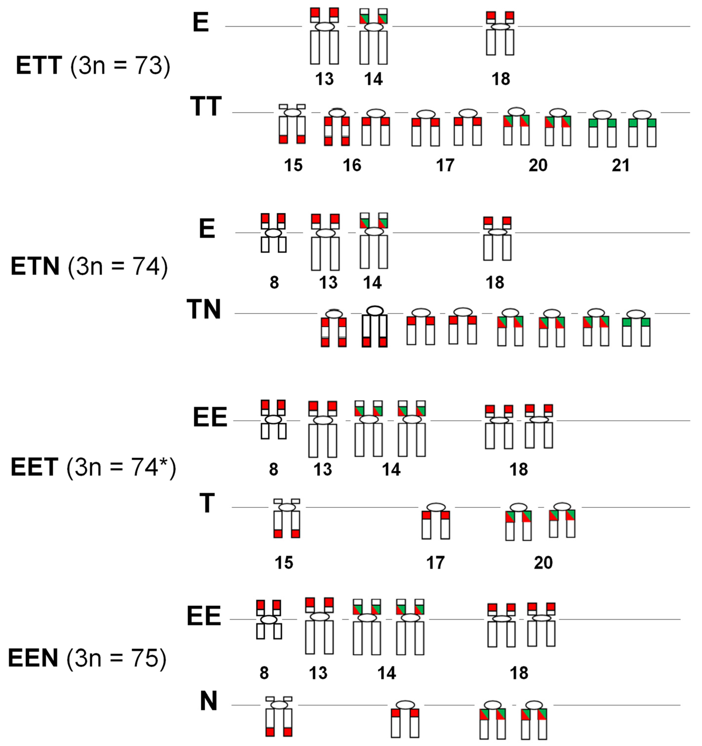 Genes 16 00068 g004 Genes 16 00068 g004