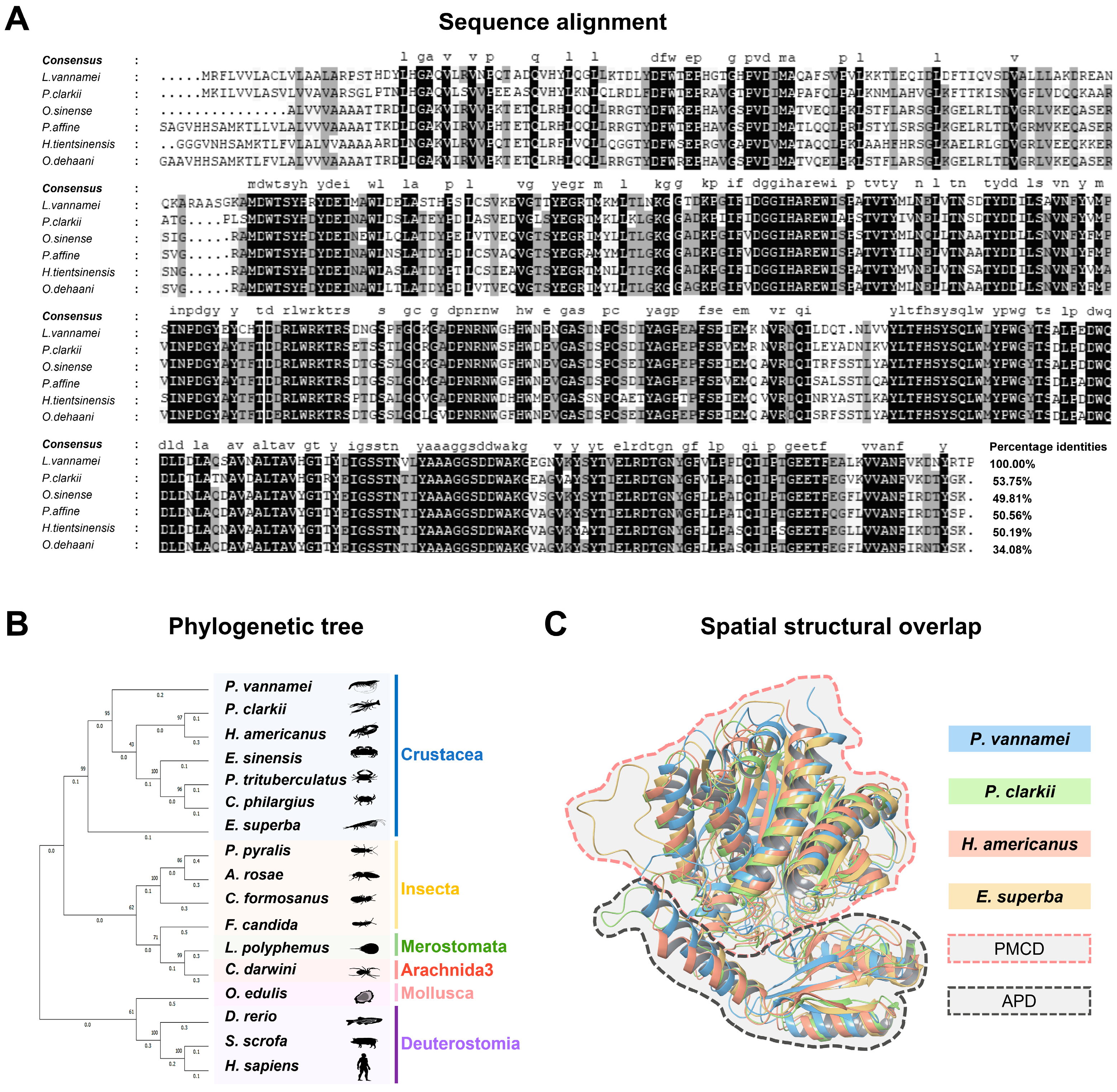 Genes 16 00069 g002