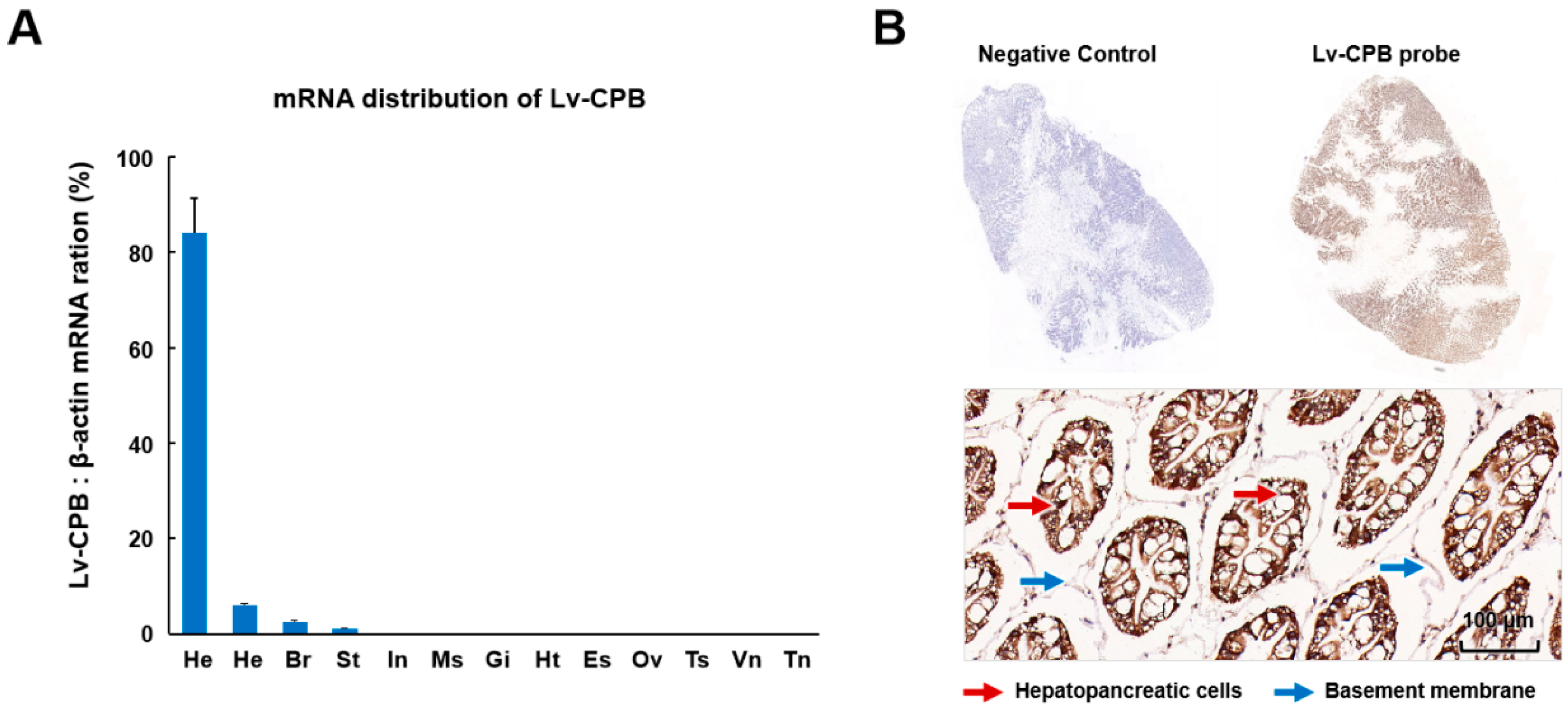 Genes 16 00069 g003