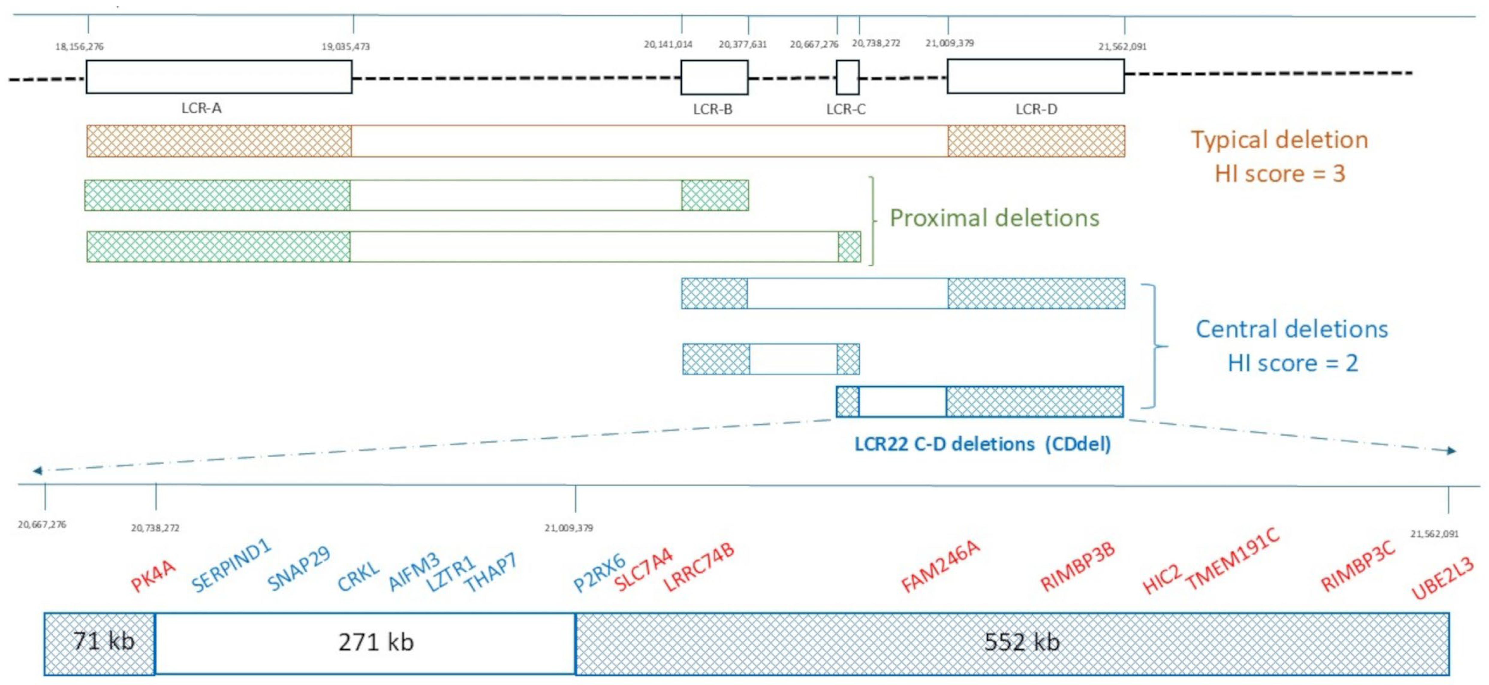Genes 16 00072 g001
