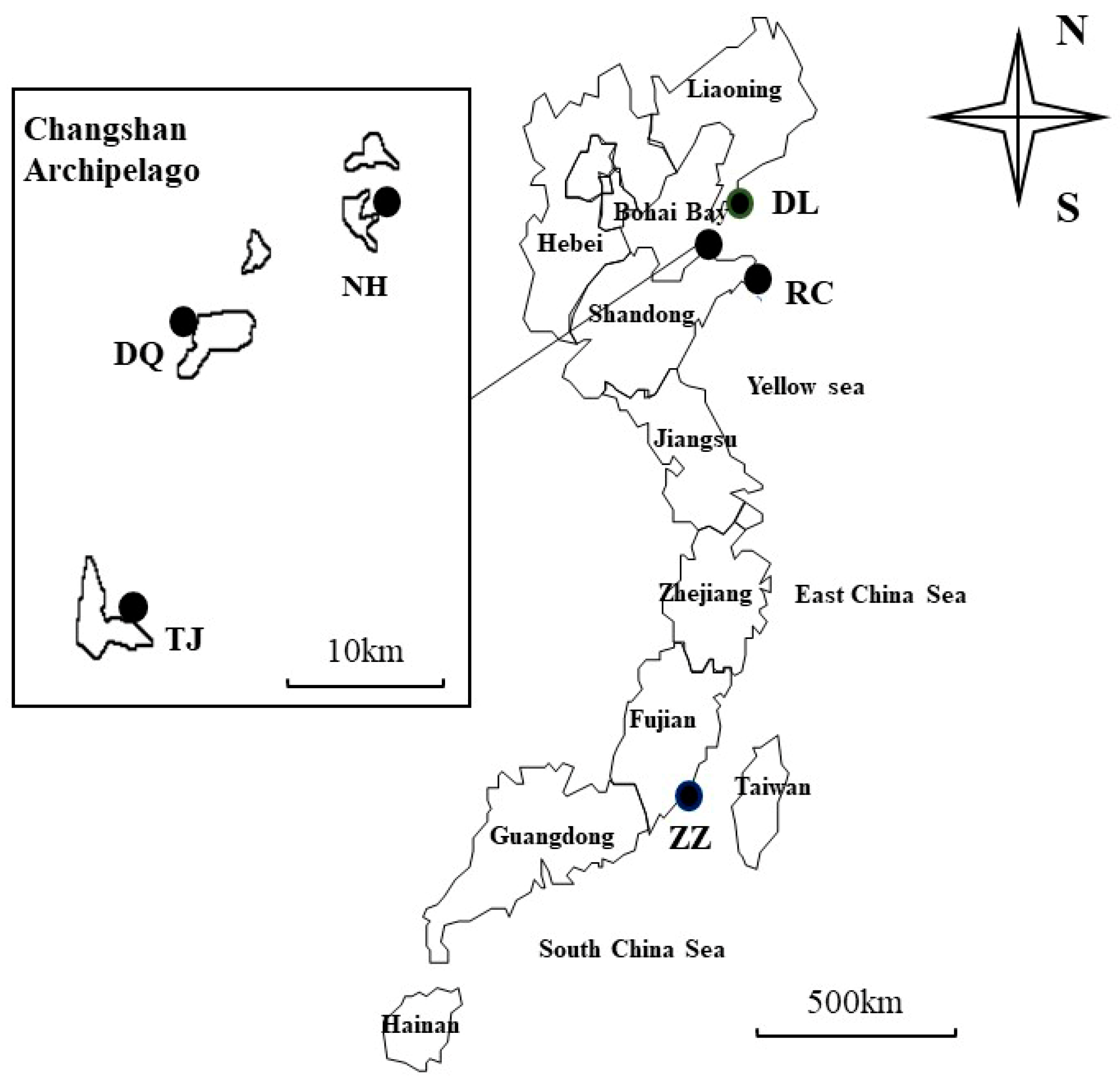 Genes 16 00073 g001 Genes 16 00073 g001