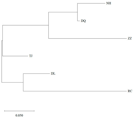 Population Genetics of Haliotis discus hannai in China Inferred