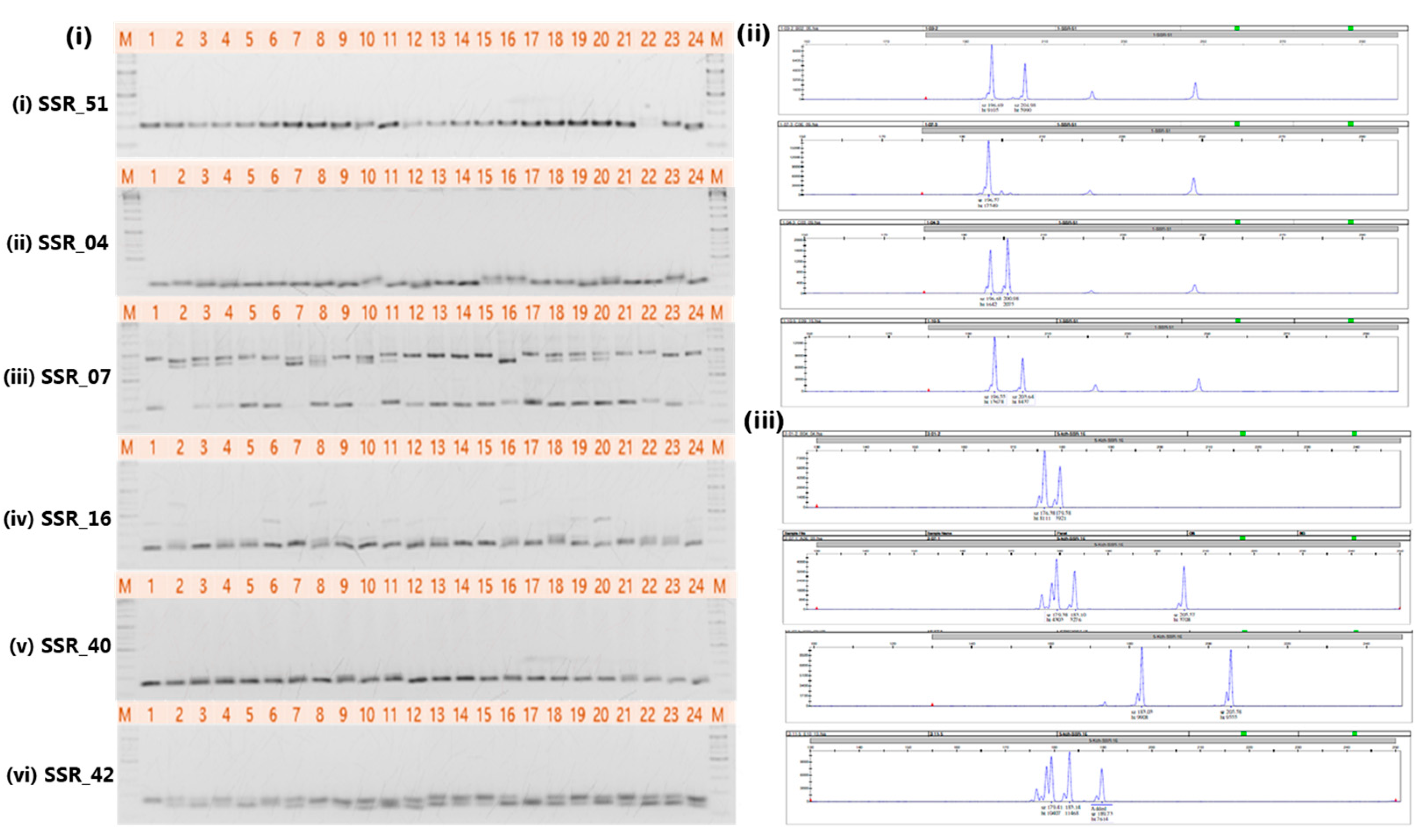 Genes 16 00081 g002 Genes 16 00081 g002
