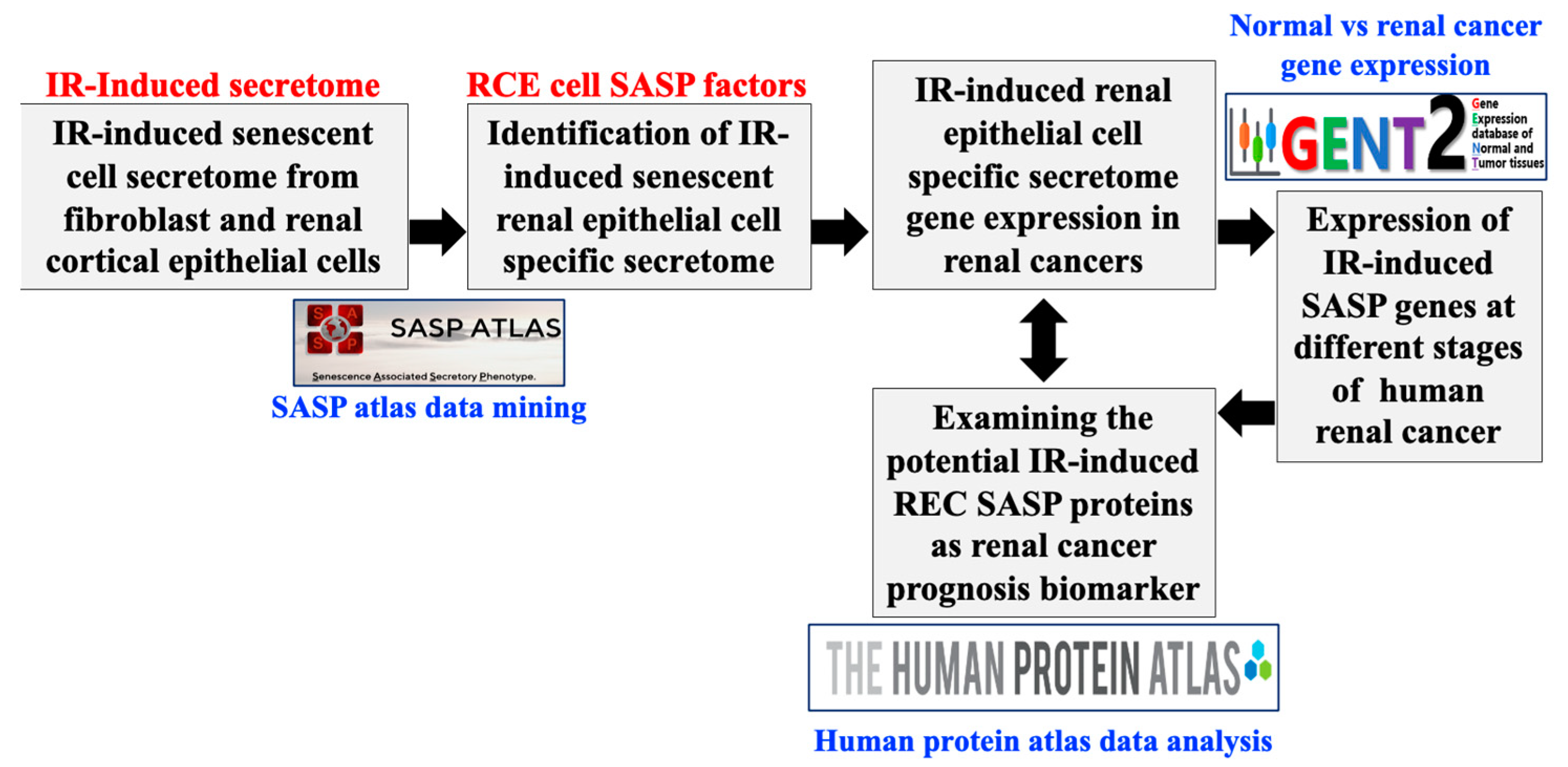 Genes 16 00085 g001 Genes 16 00085 g001