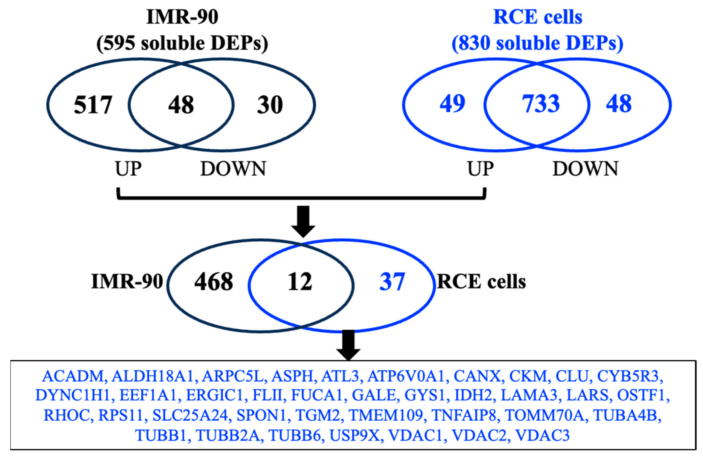 Genes 16 00085 g002 Genes 16 00085 g002