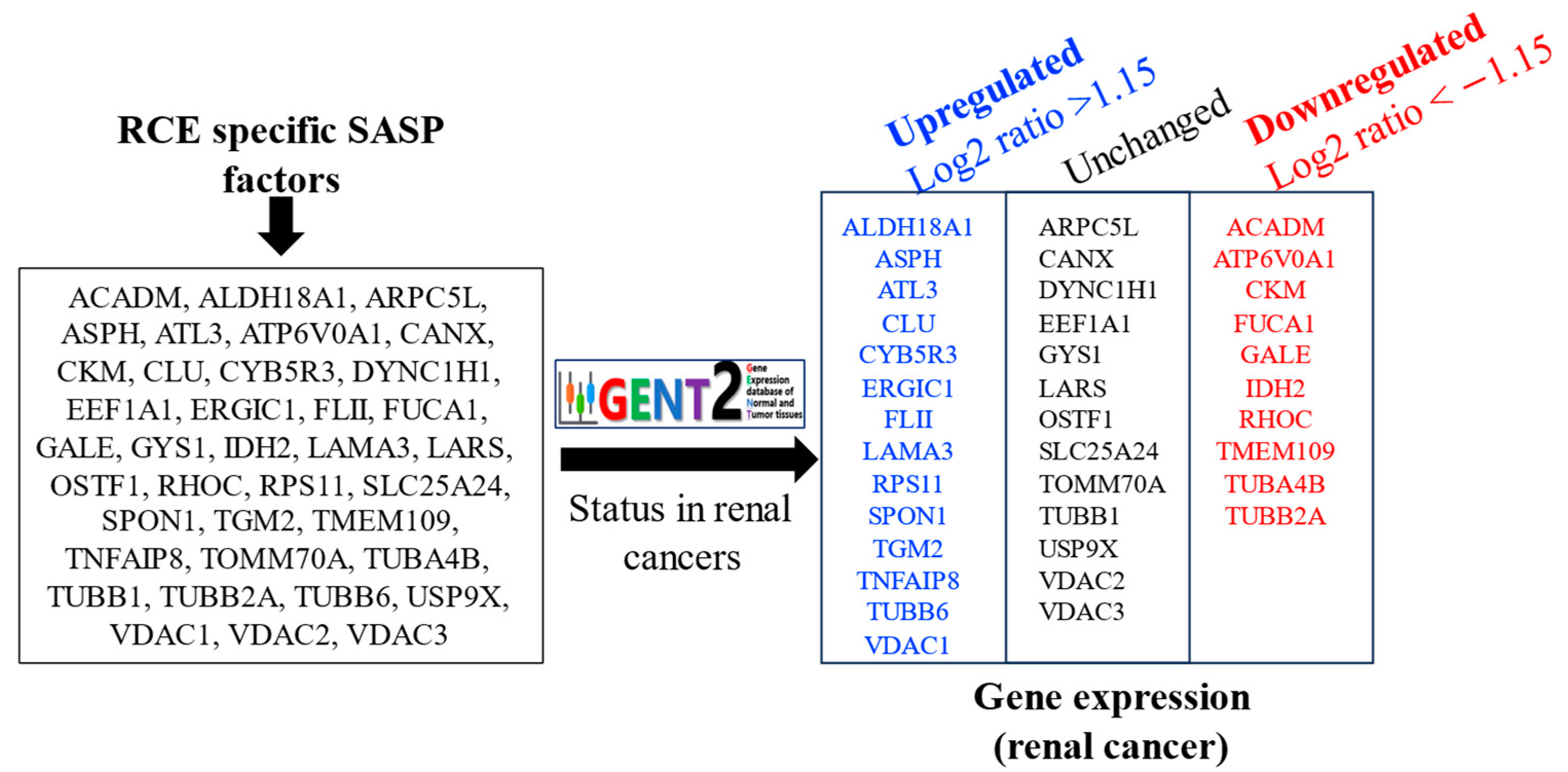 Genes 16 00085 g003 Genes 16 00085 g003