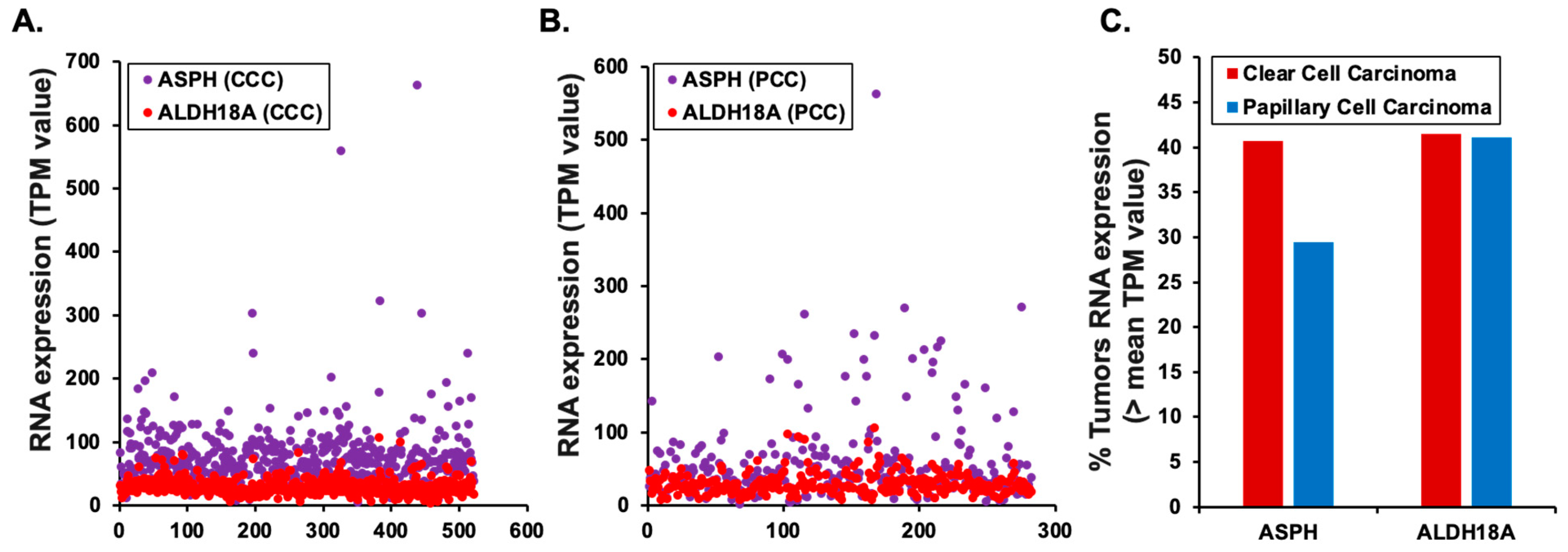 Genes 16 00085 g005 Genes 16 00085 g005