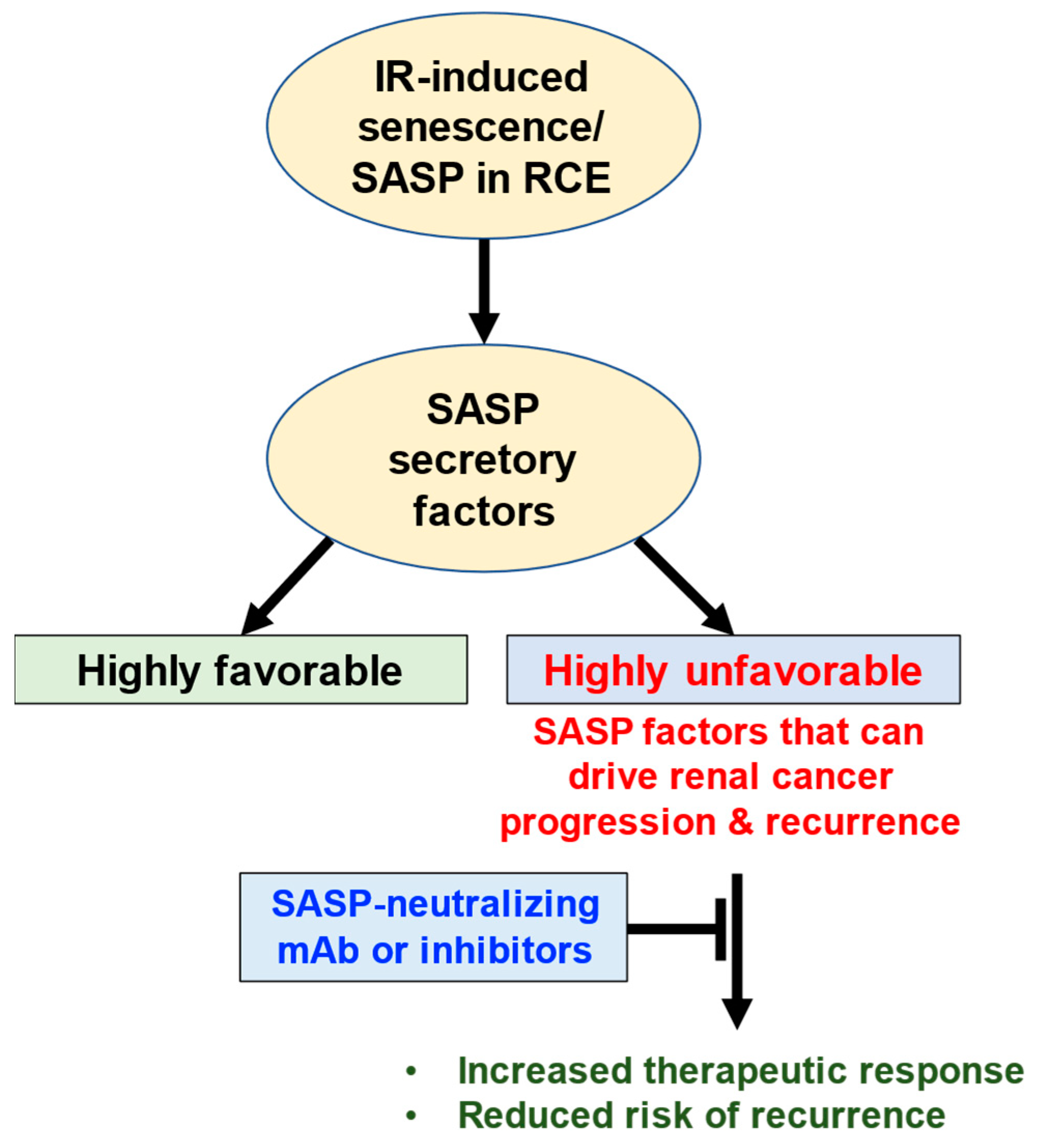 Genes 16 00085 g006 Genes 16 00085 g006