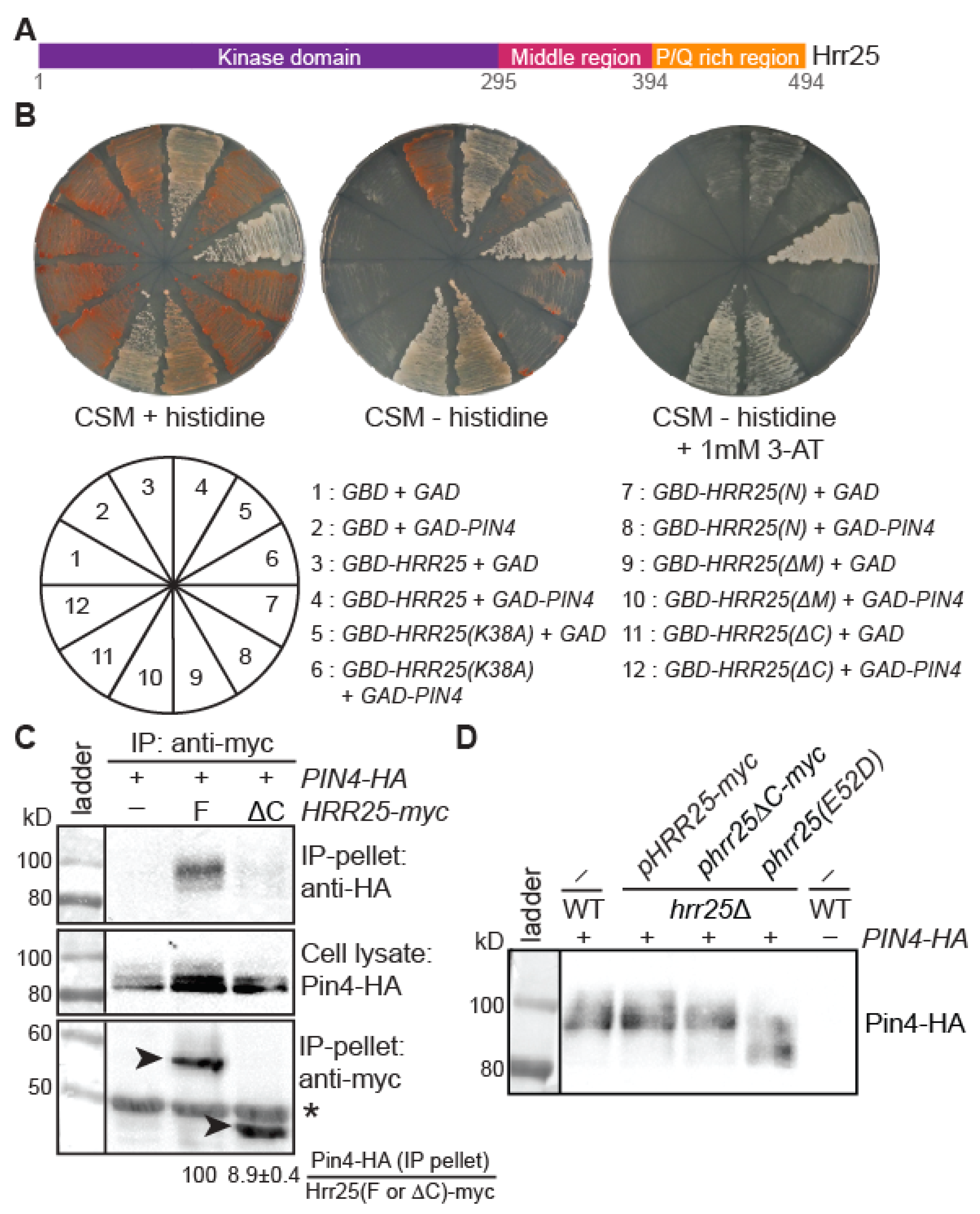 Genes 16 00094 g005