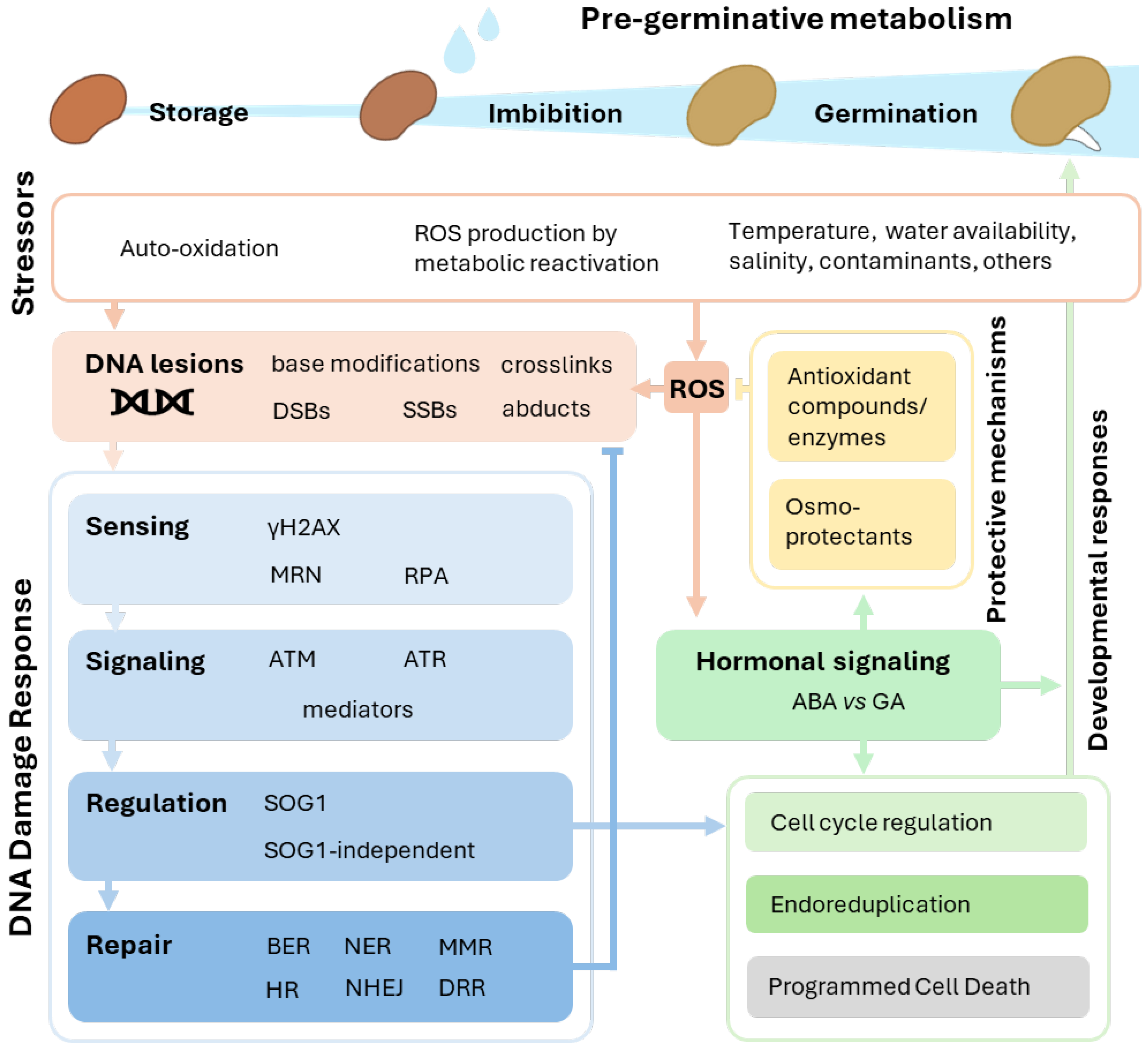 Genes 16 00095 g001