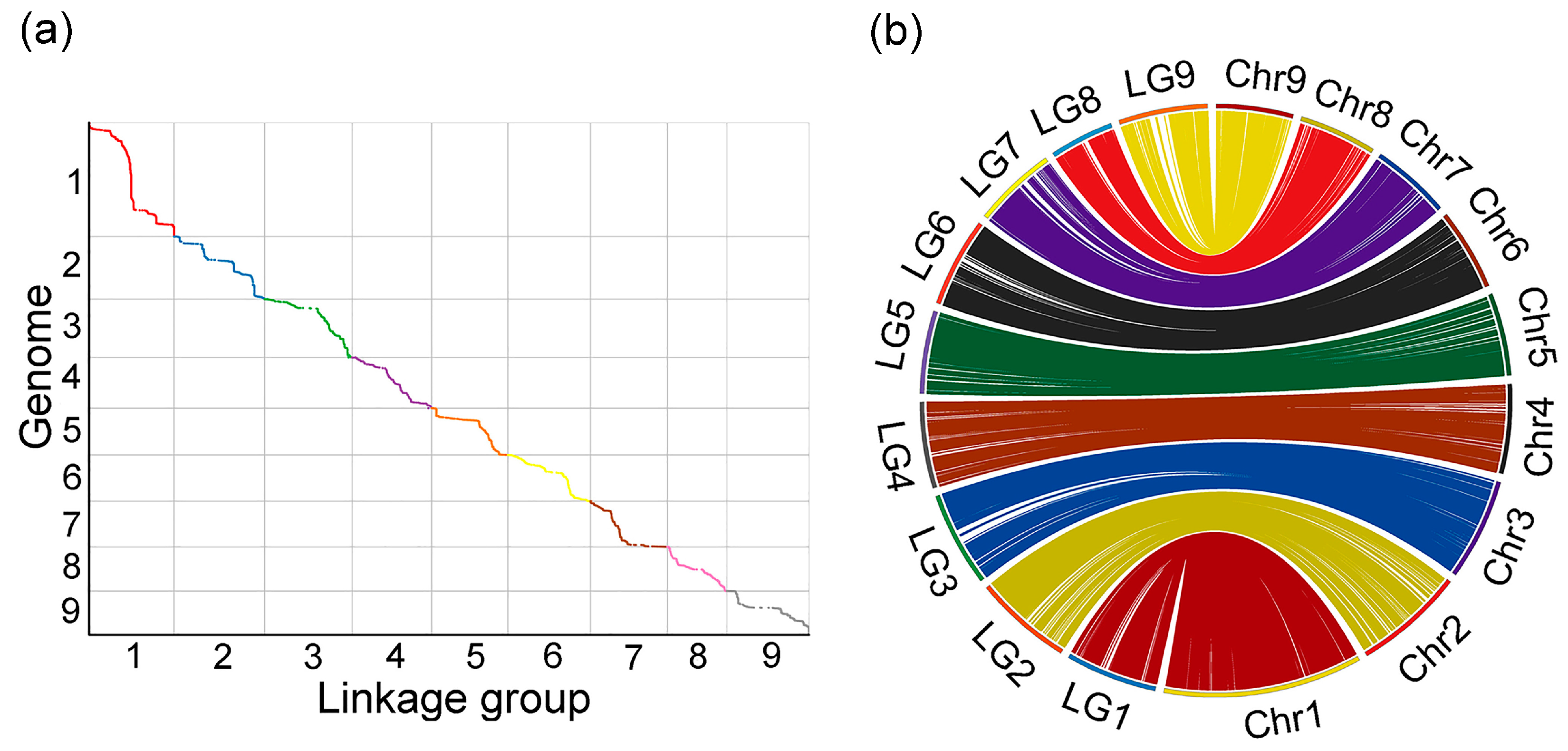 Genes 16 00096 g002