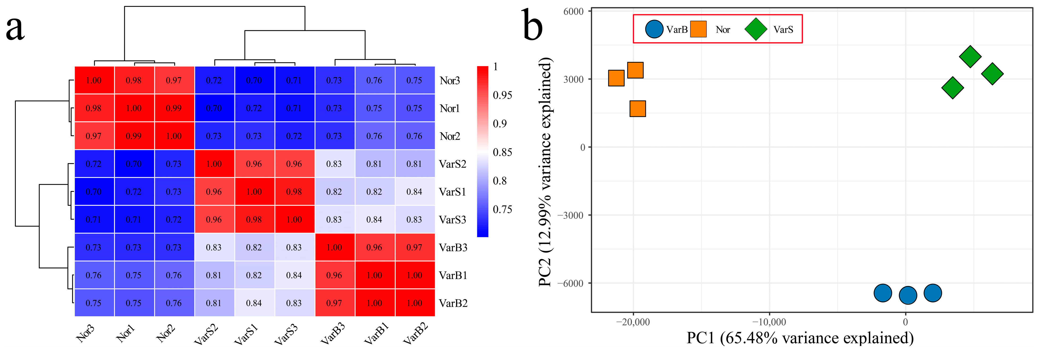 Genes 16 00097 g001