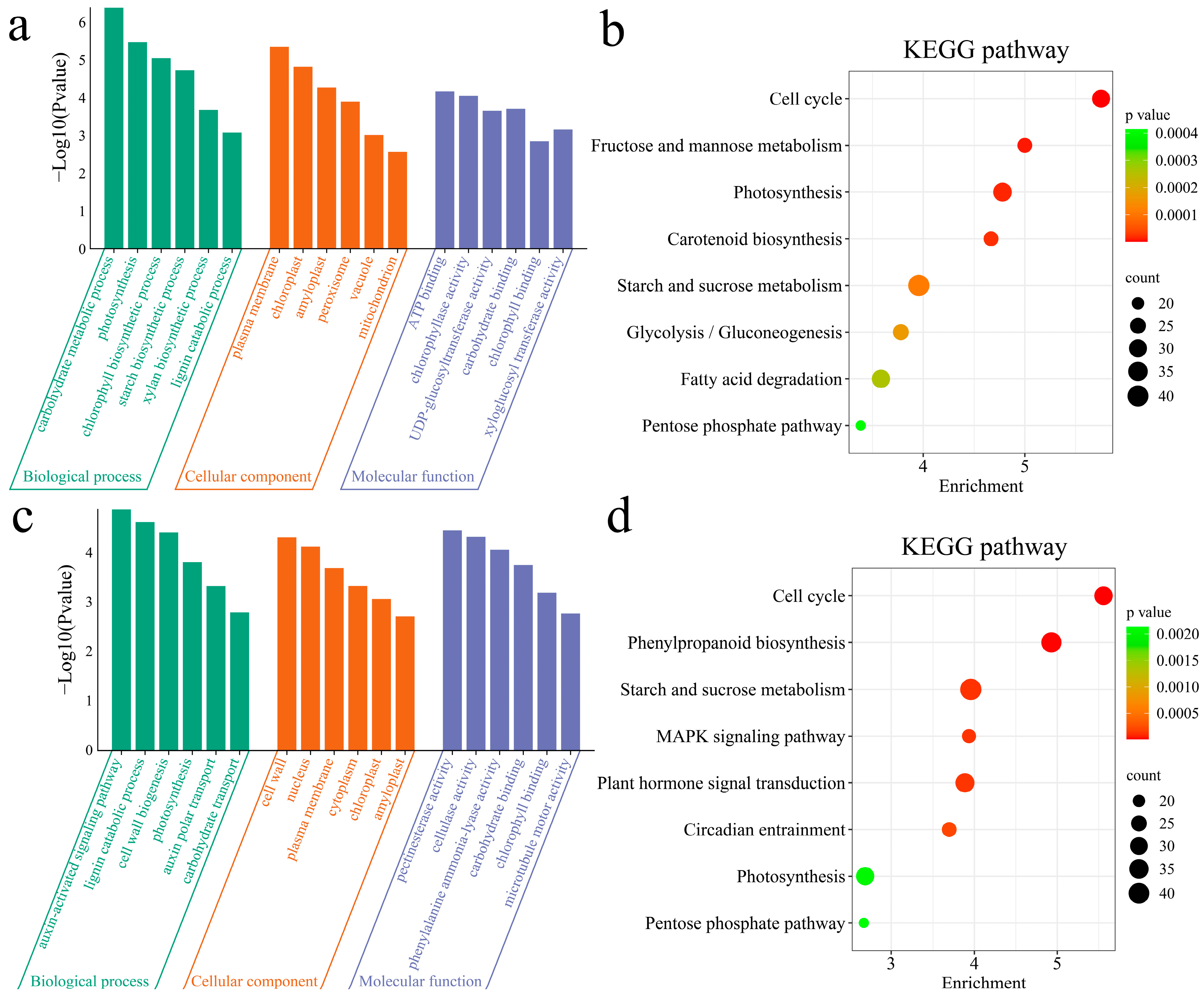 Genes 16 00097 g005