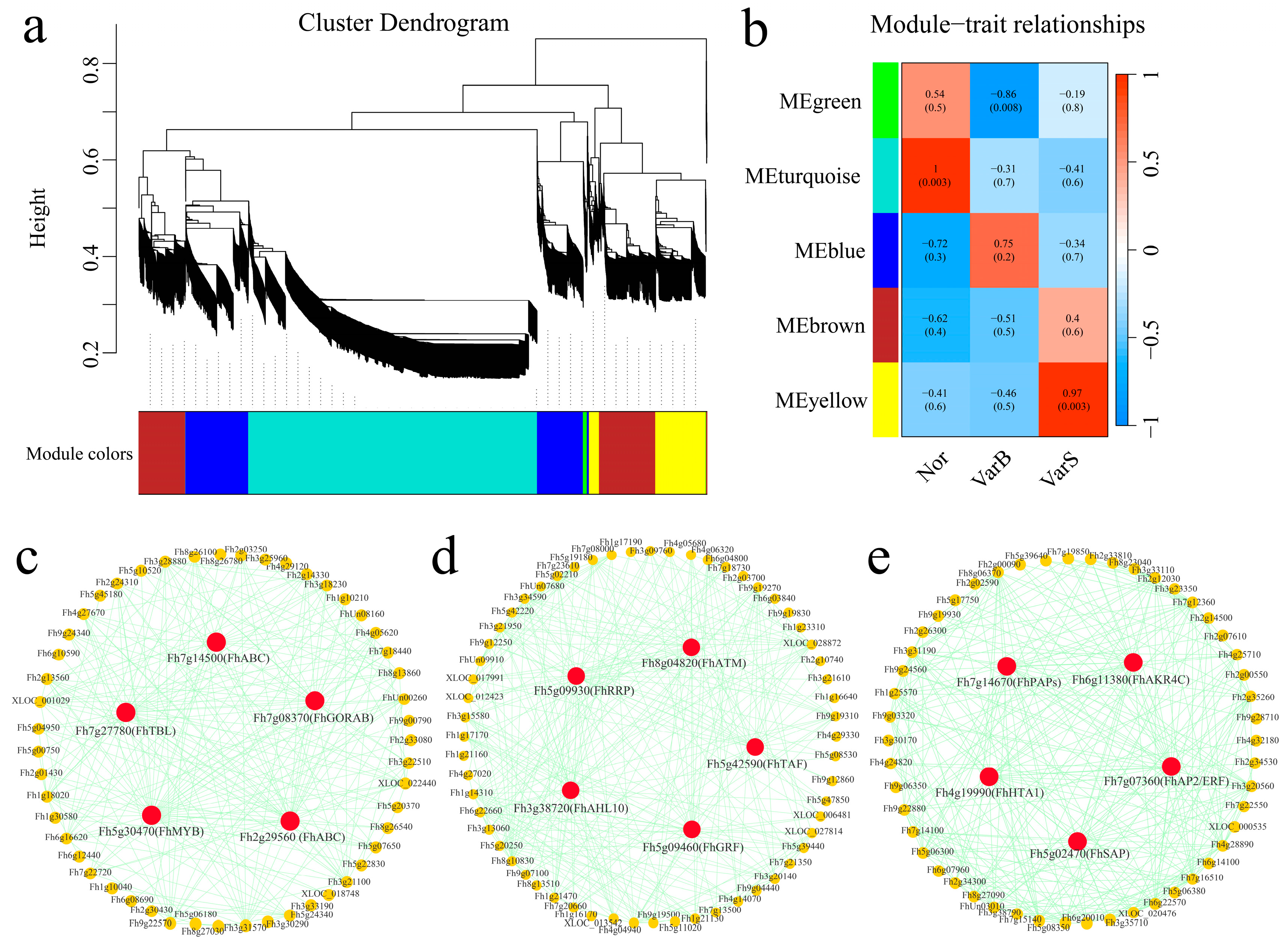 Genes 16 00097 g007