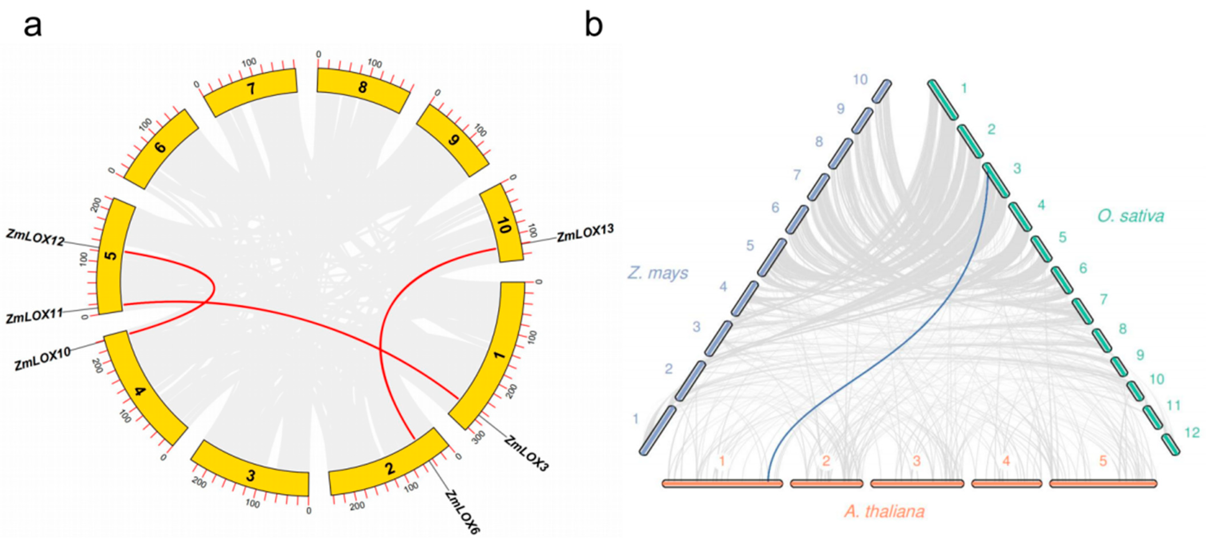 Genes 16 00099 g004