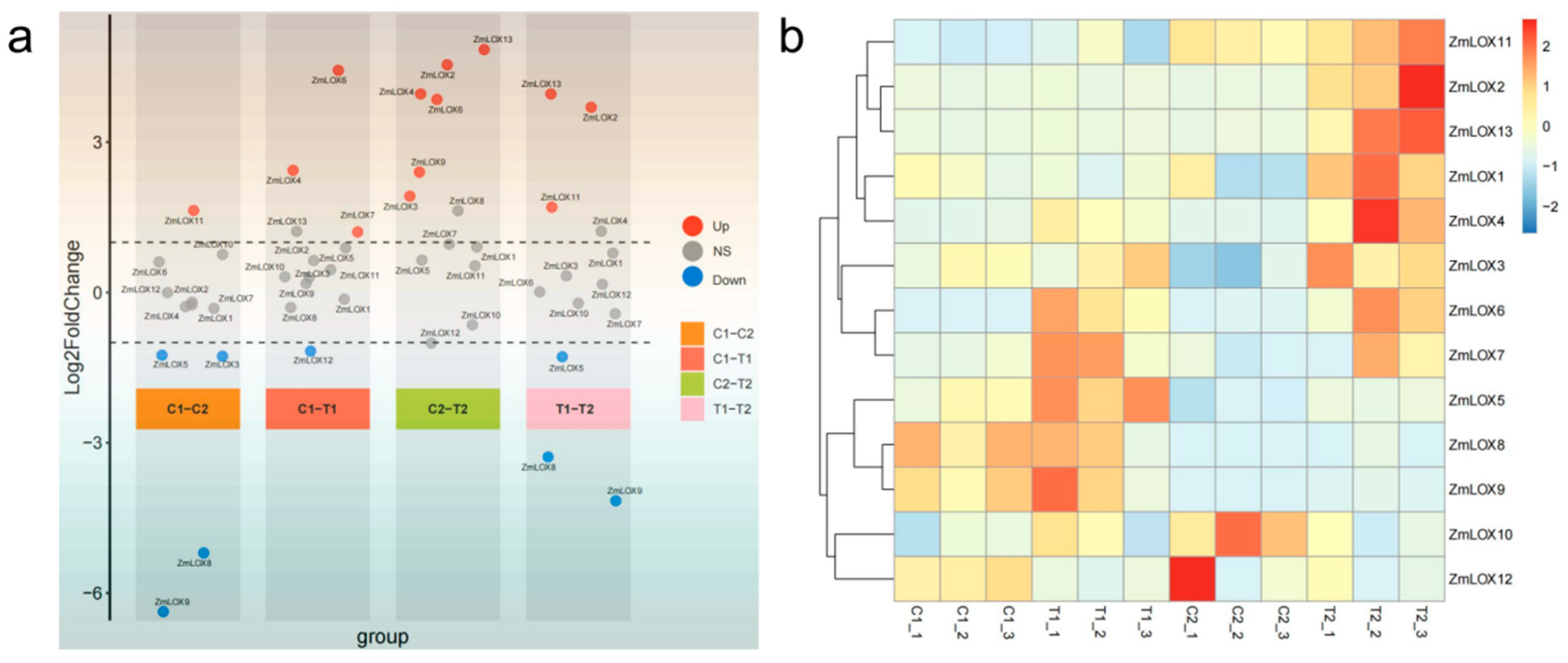 Genes 16 00099 g008