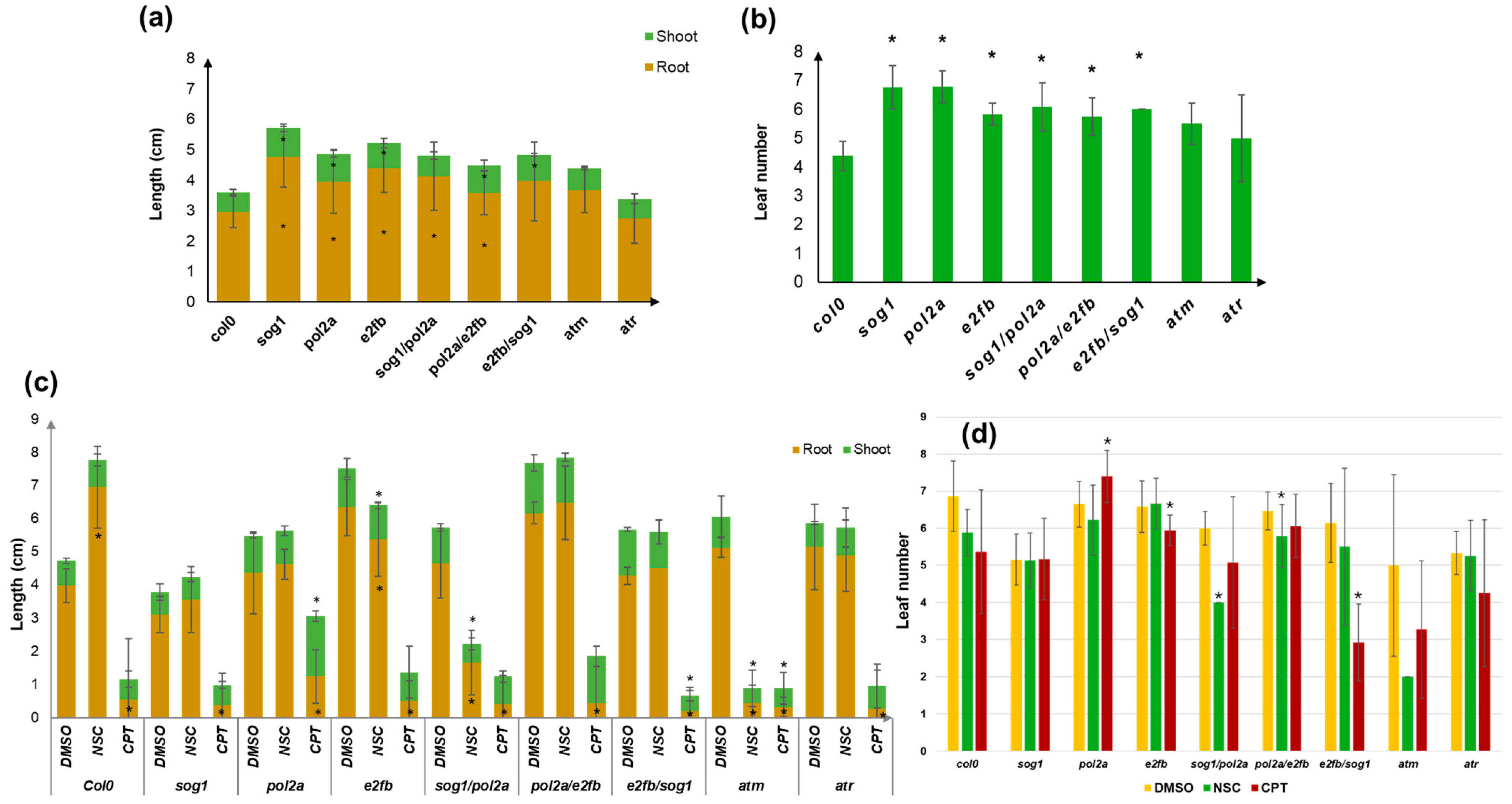 Genes 16 00103 g002 Genes 16 00103 g002