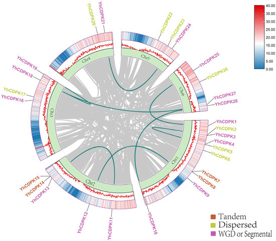 KOU様オーダー KOU様オーダー Kou (@kou.7684) • Instagram photos and videos