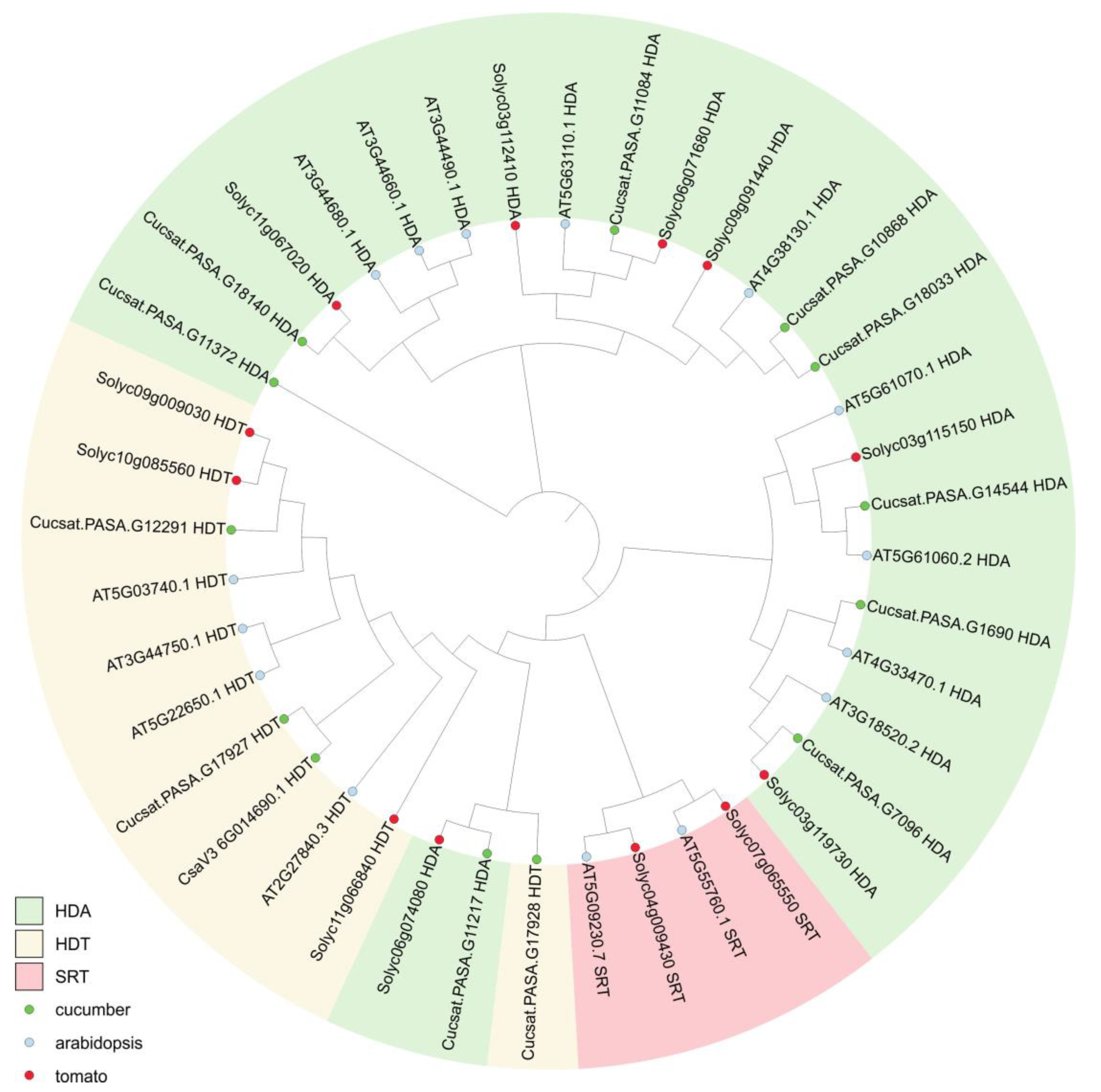 Genes 16 00127 g002