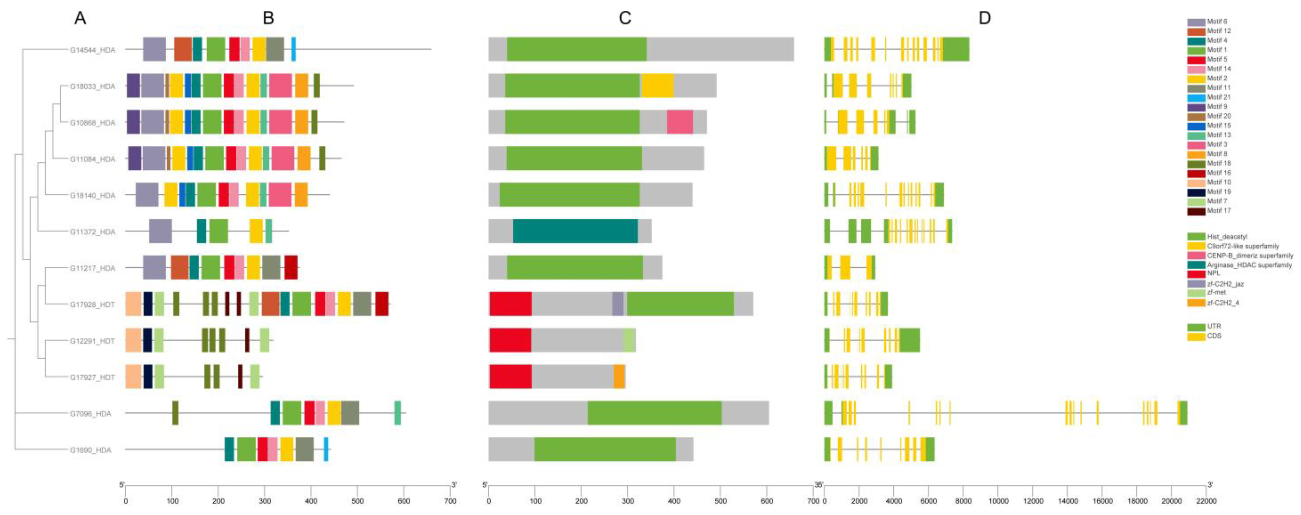 Genes 16 00127 g004