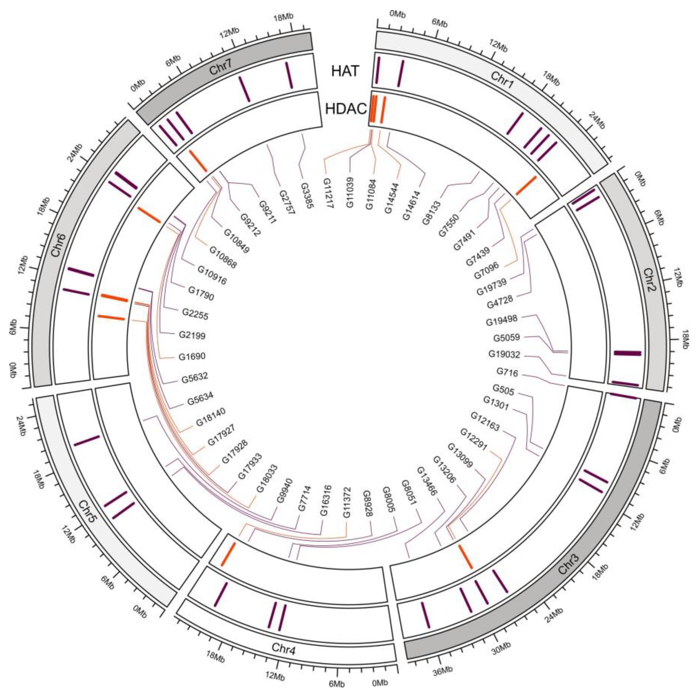 Genes 16 00127 g005