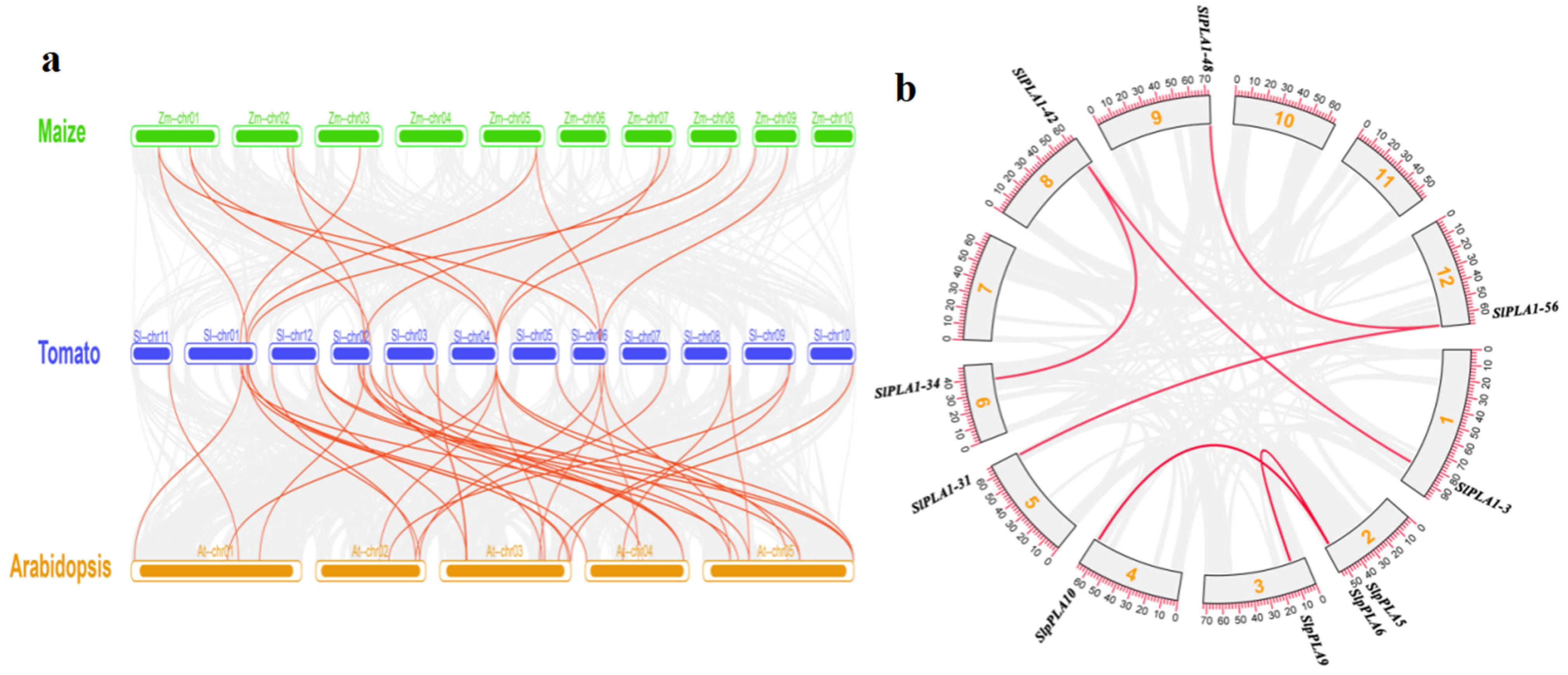 Genes 16 00130 g004