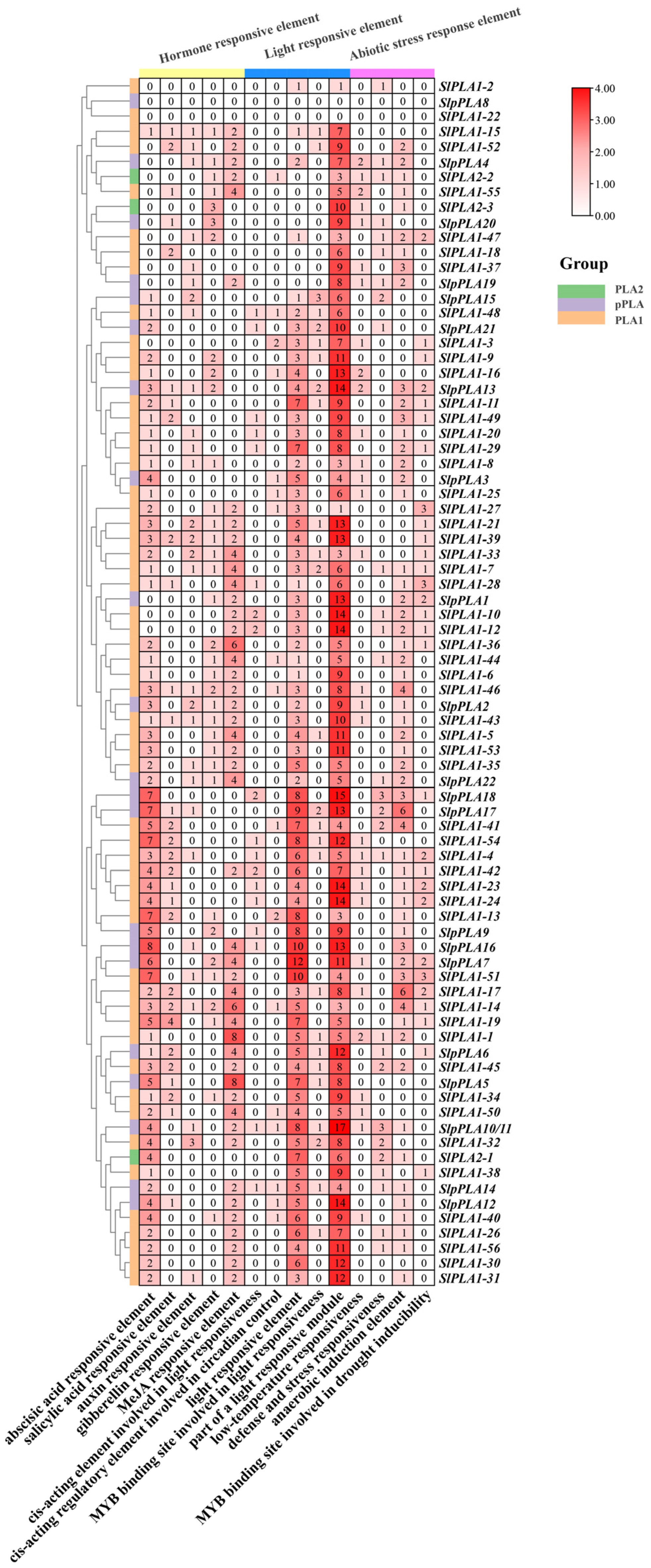 Genes 16 00130 g005