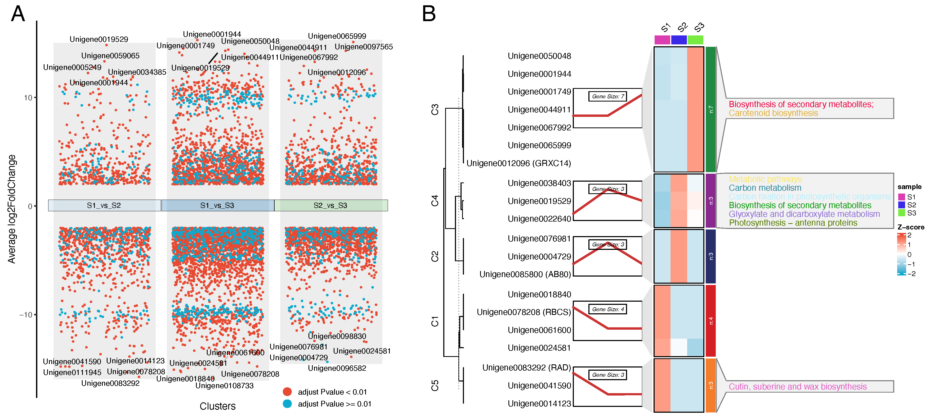 Genes 16 00132 g003