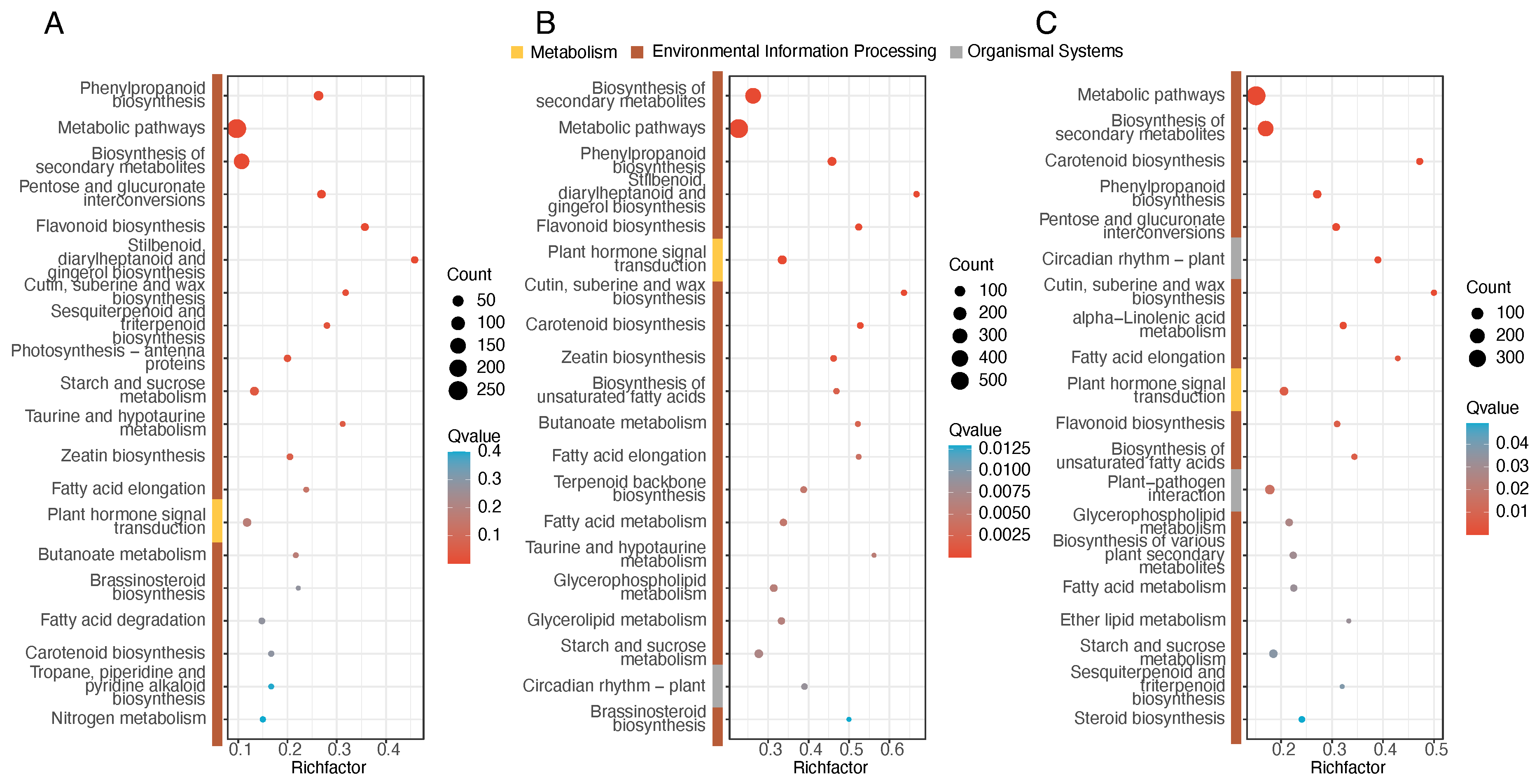 Genes 16 00132 g005