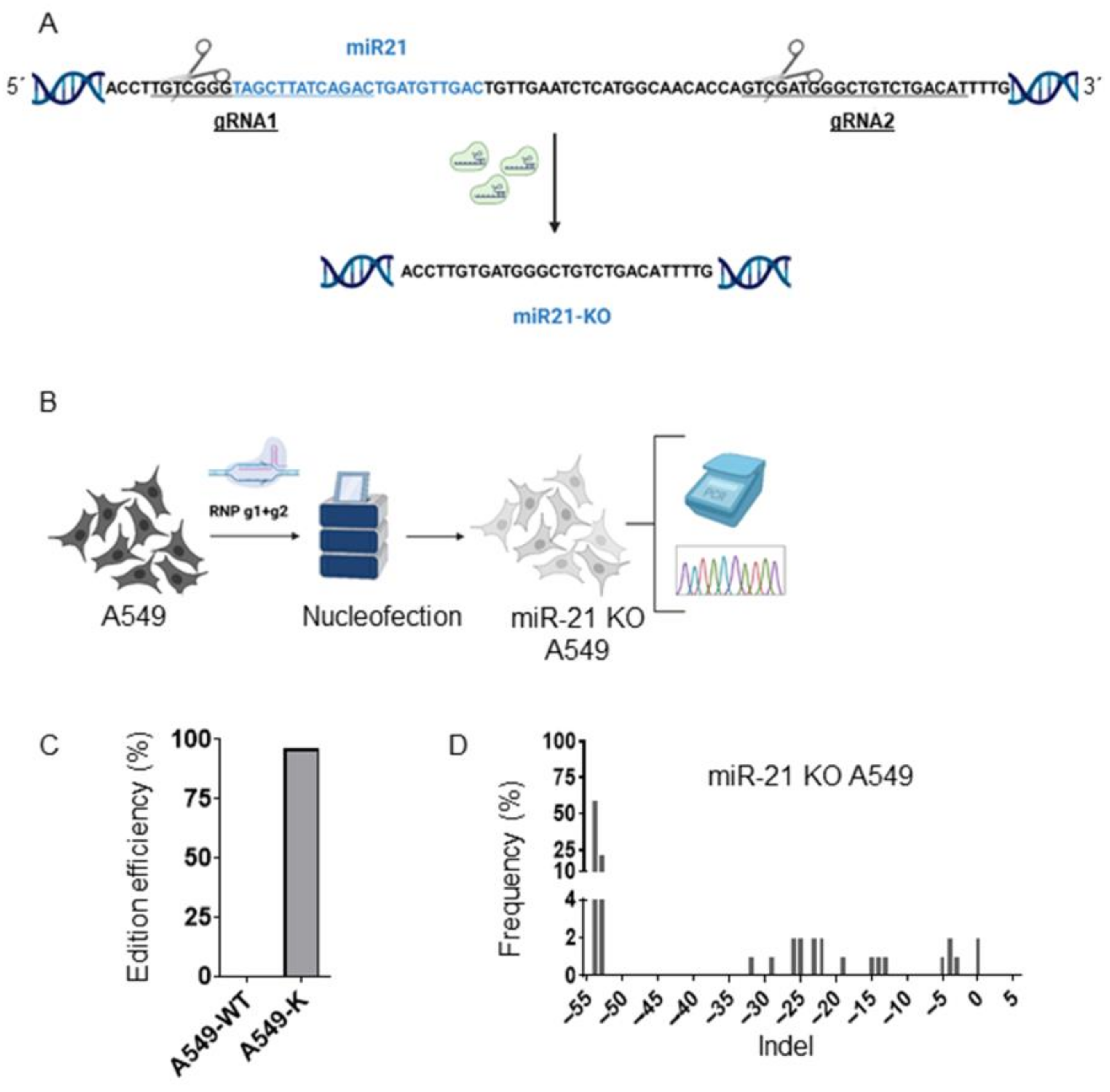 Genes 16 00133 g001