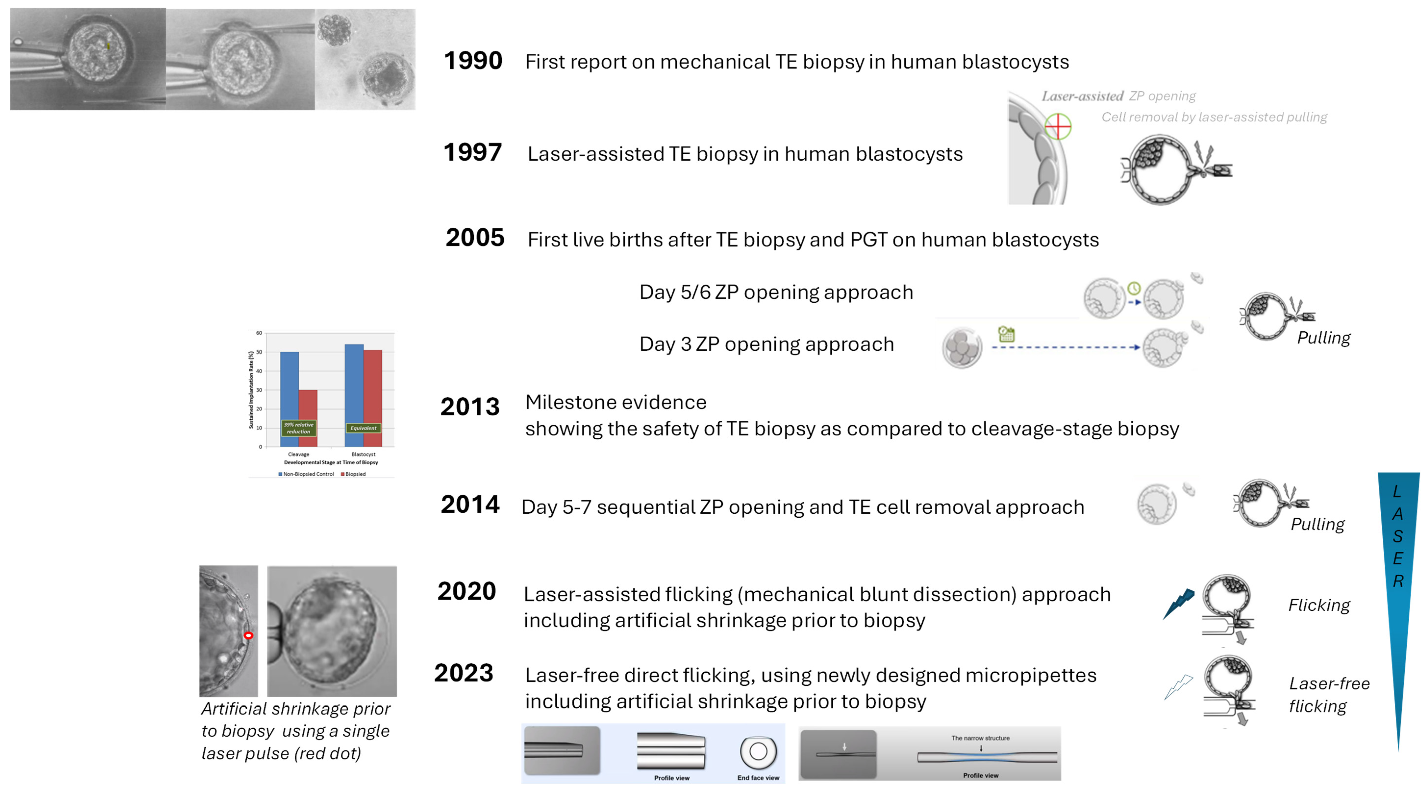 Genes 16 00134 g001