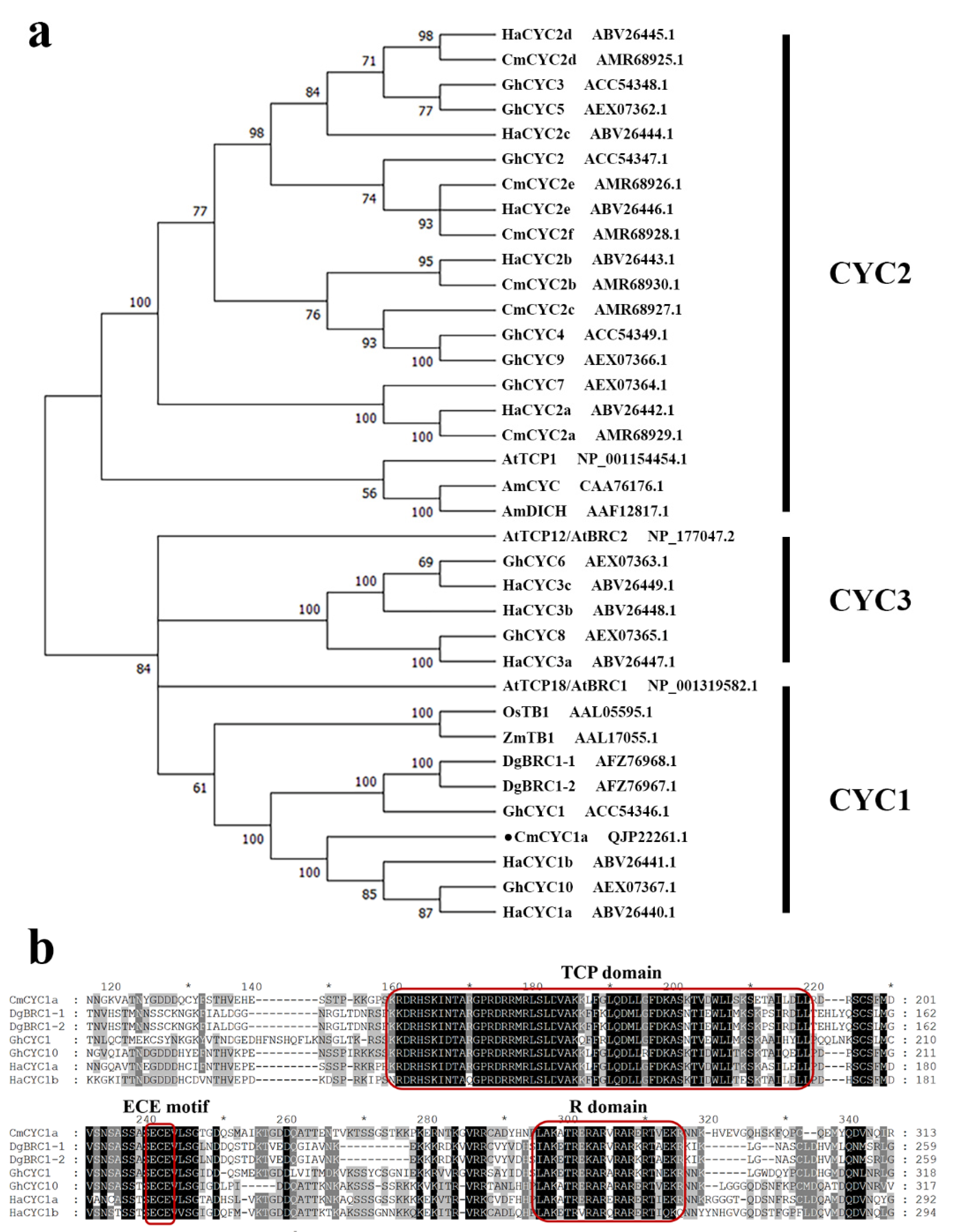 Genes 16 00152 g001 Genes 16 00152 g001